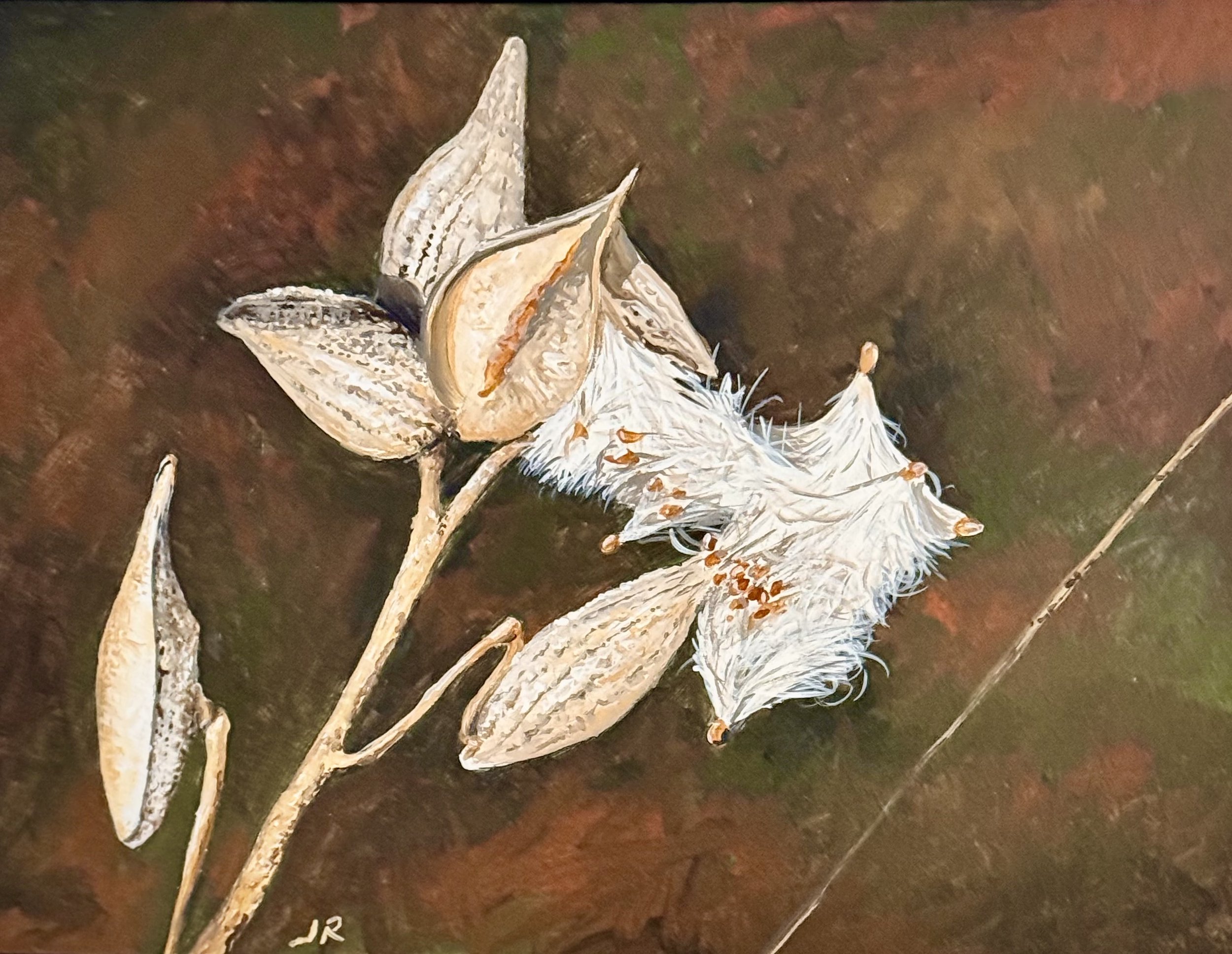 Milkweed by Jack Robbins