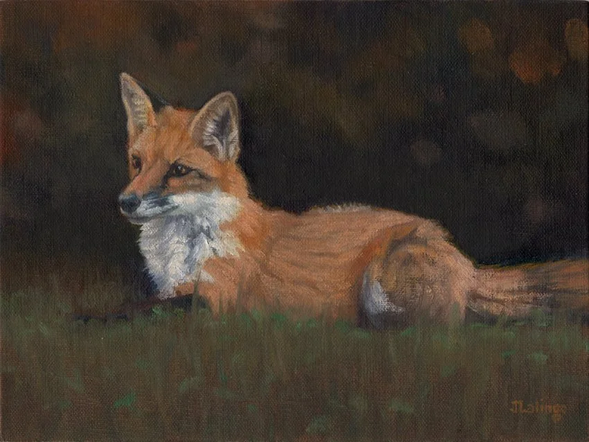 The Birdwatcher by Judy Lalingo