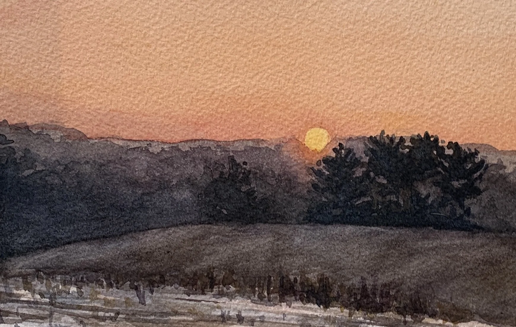 Kimmel Kozak Blue Sleeping .jpg