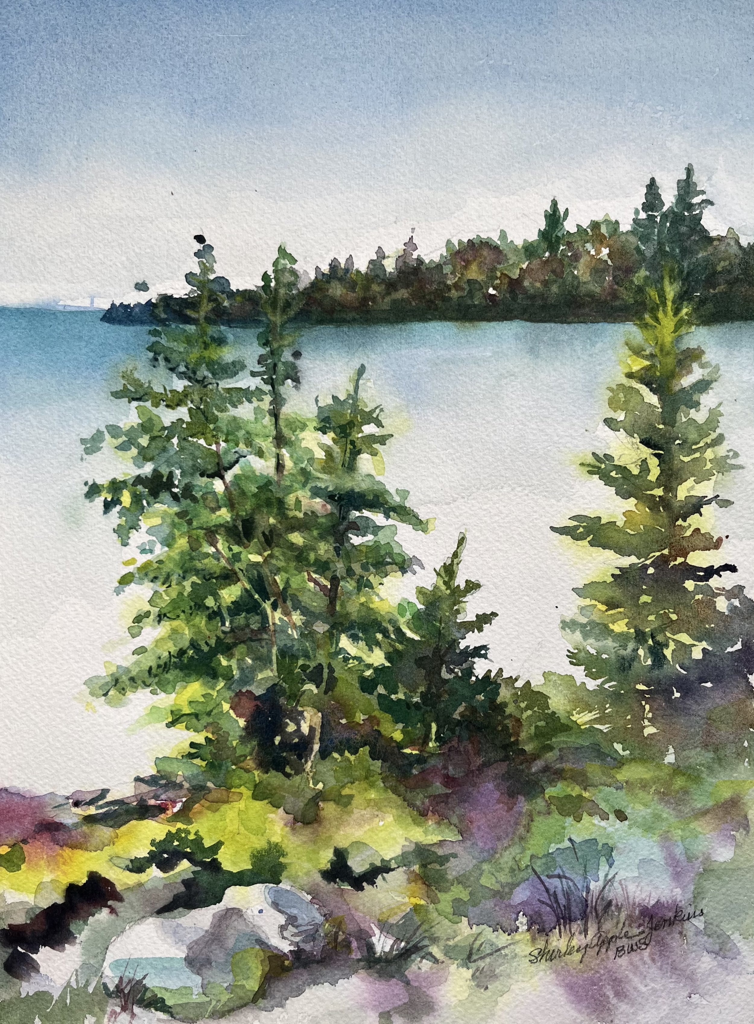 Shirley Jenkins Apples.jpg