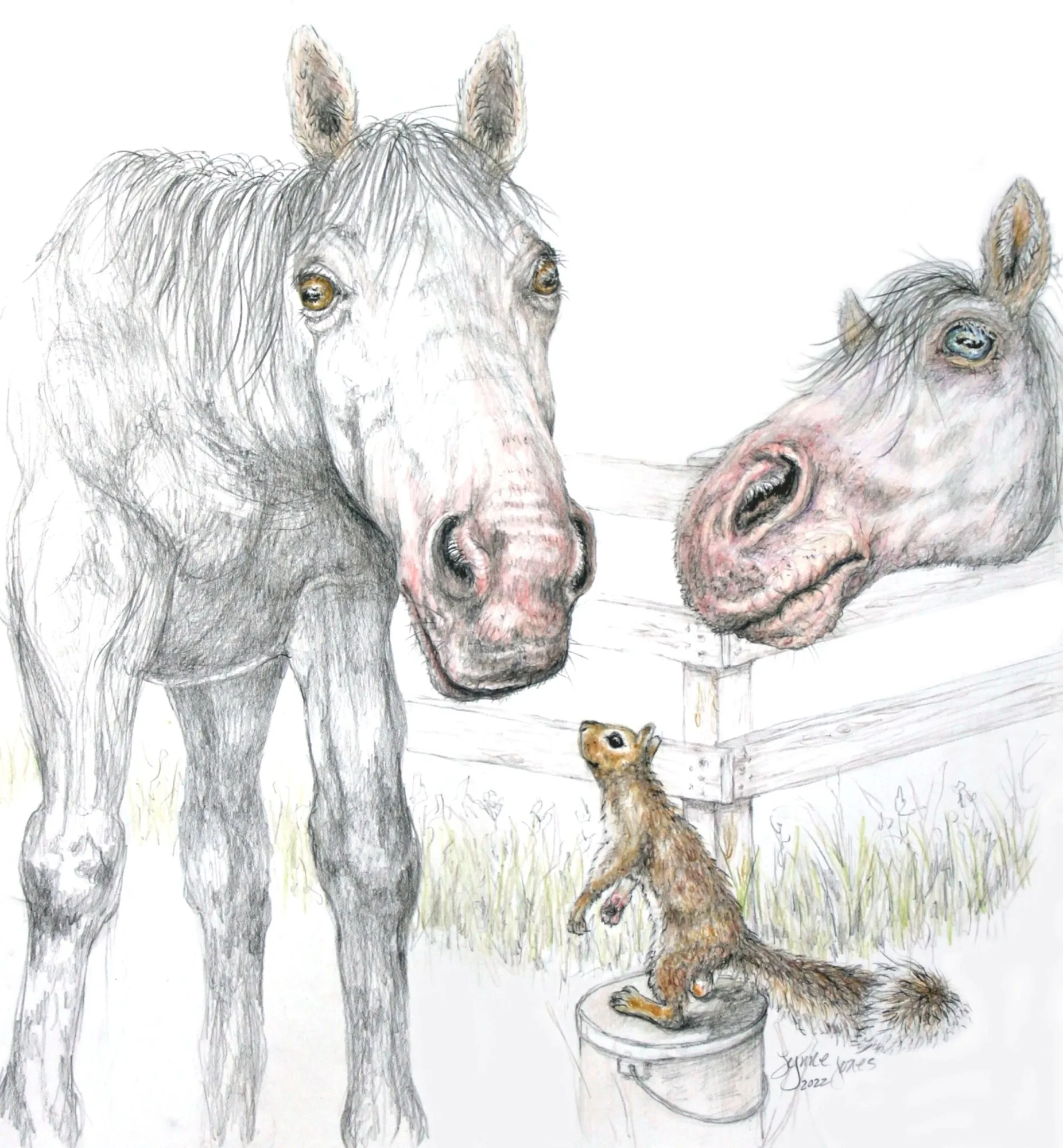 Mellie and Horses