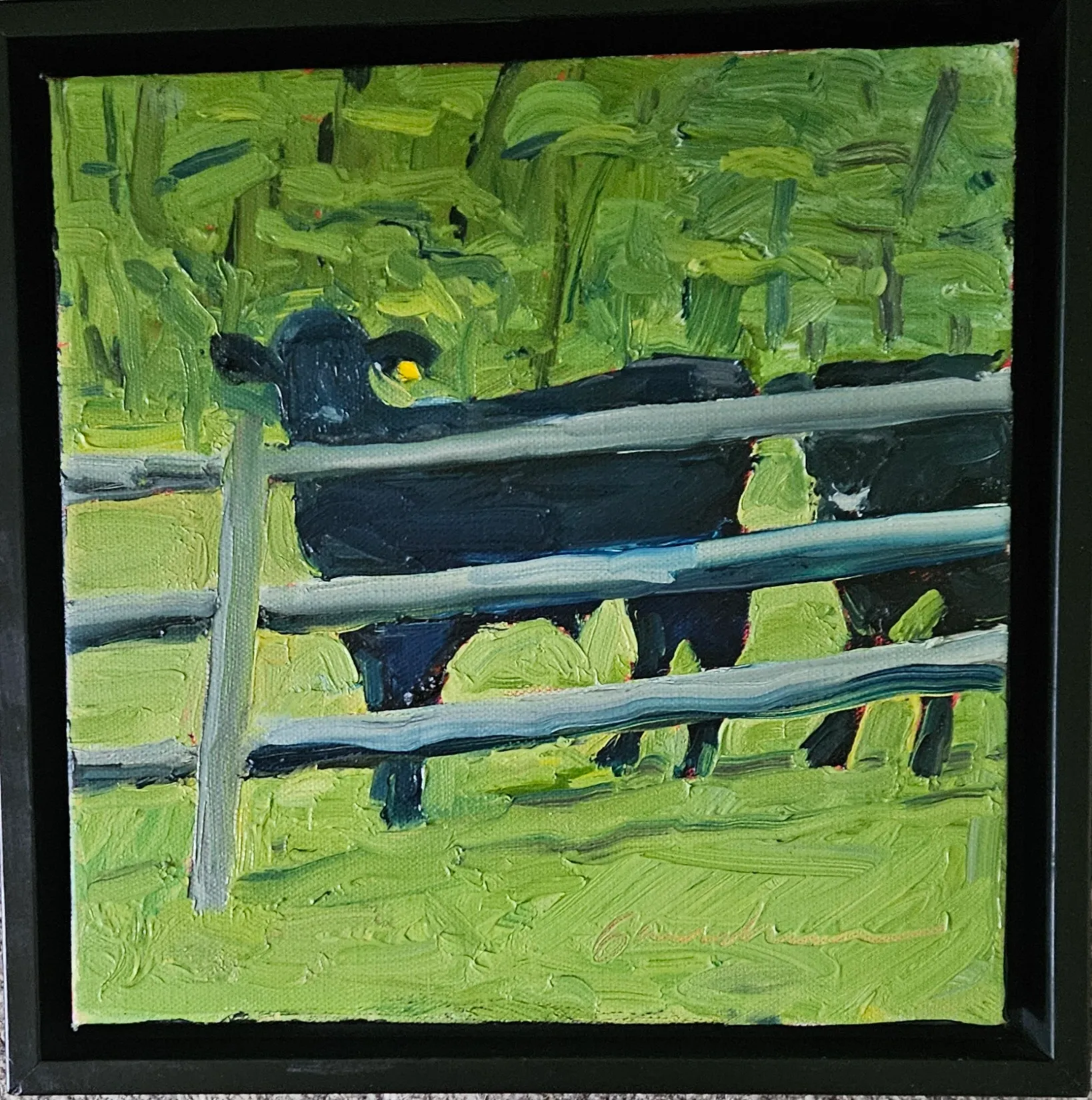 Spring Bull