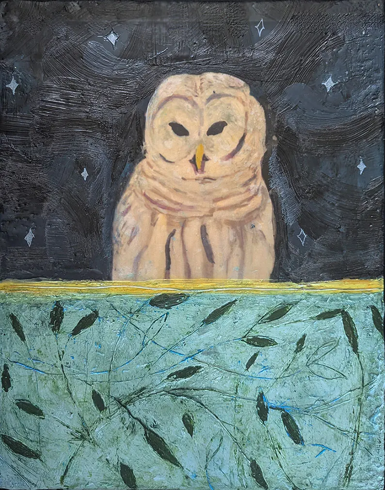 Barred Owl