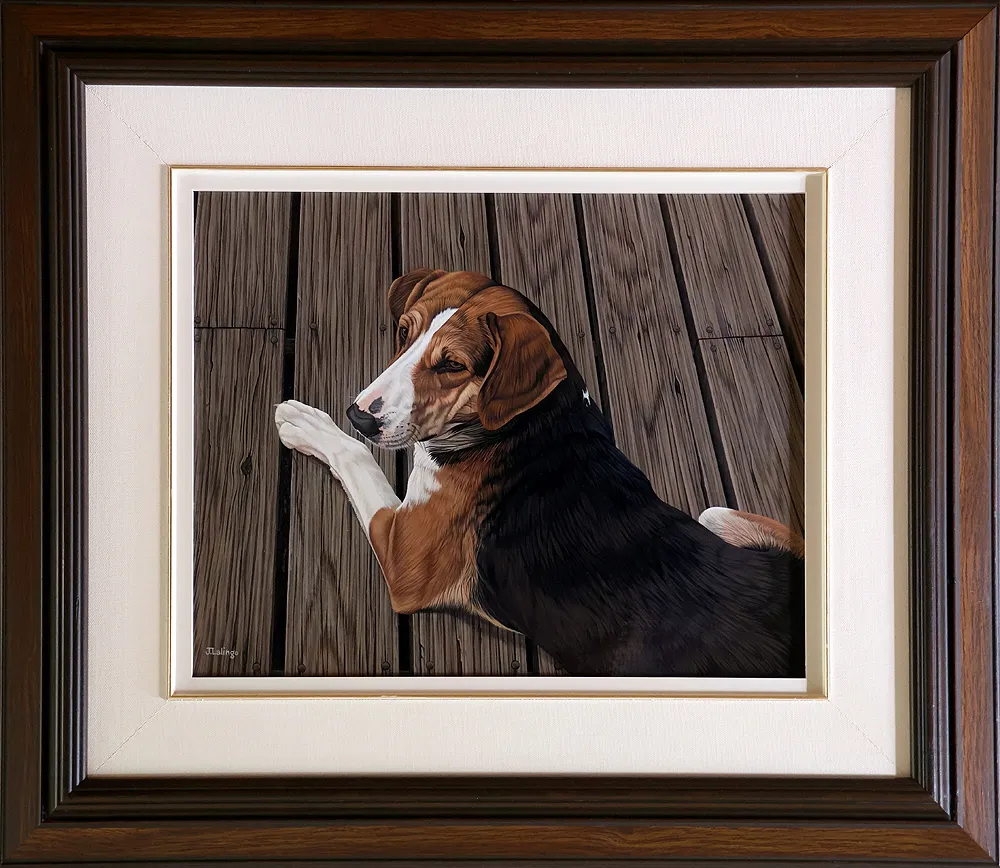 Hound on Porch
