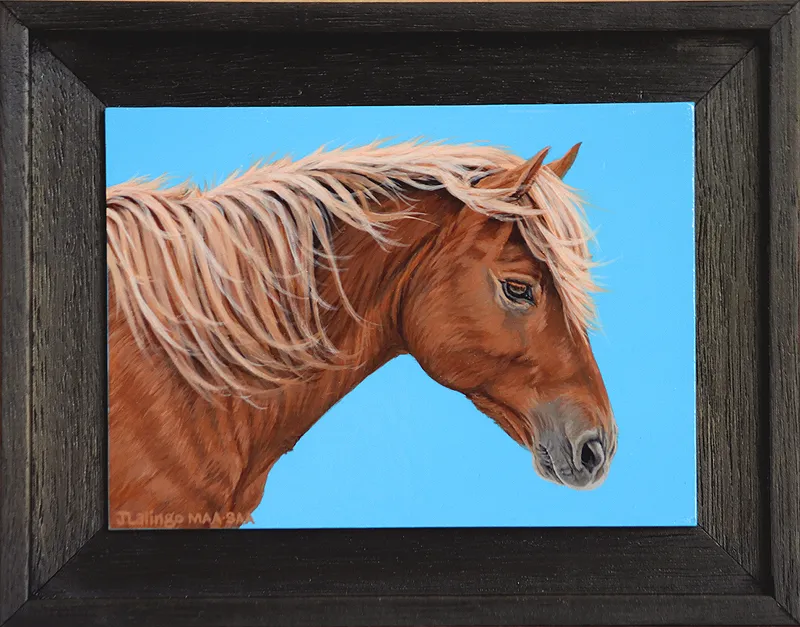 Joy of Assateague