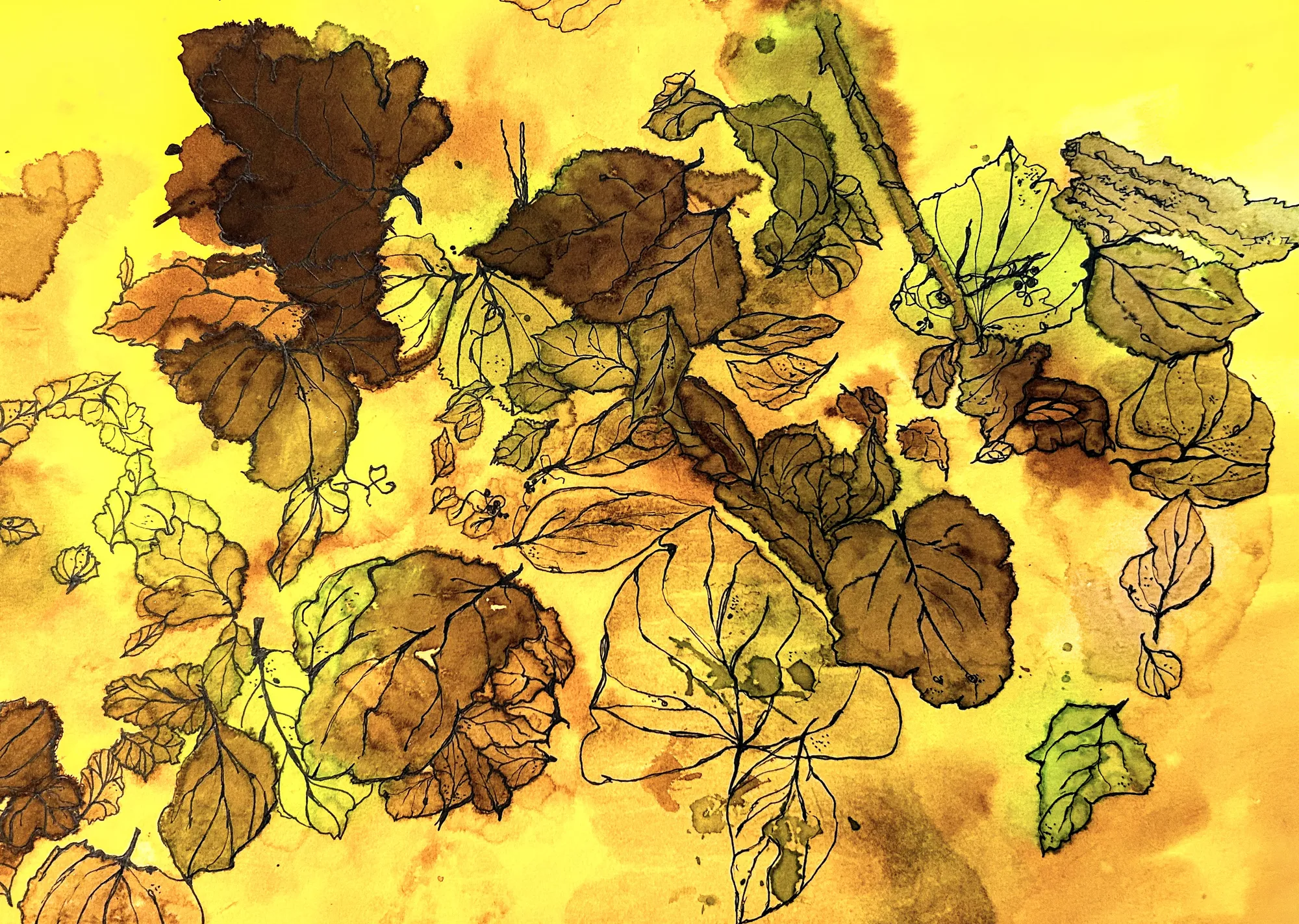 Leaves: From the Ground Up