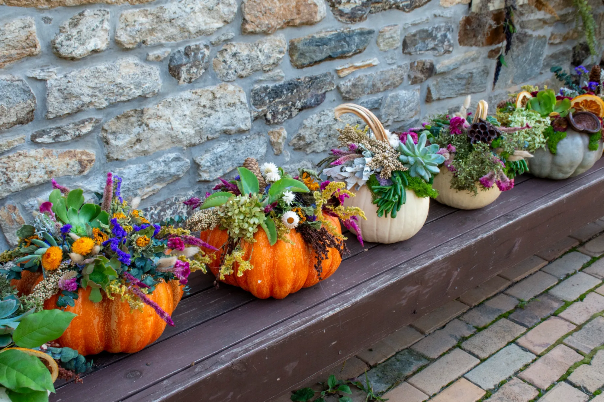 Succulent Pumpkin Workshop