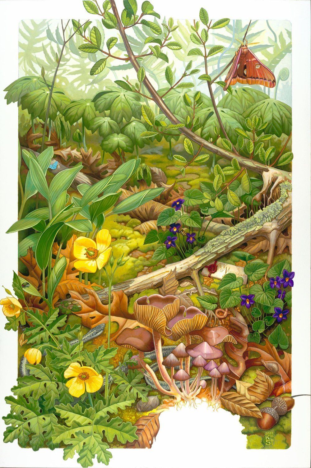 From the Forest artwork 1