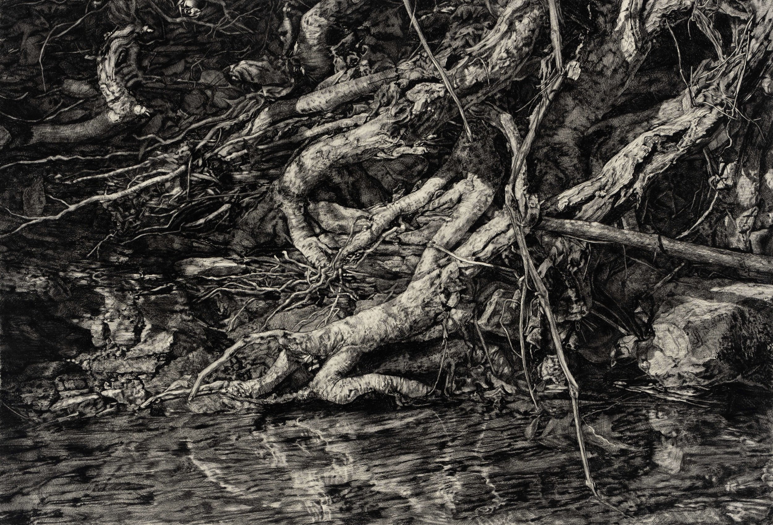 From the Forest artwork 2