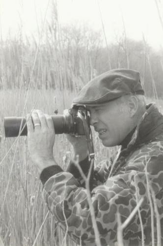 Baltimore Legends artwork 6