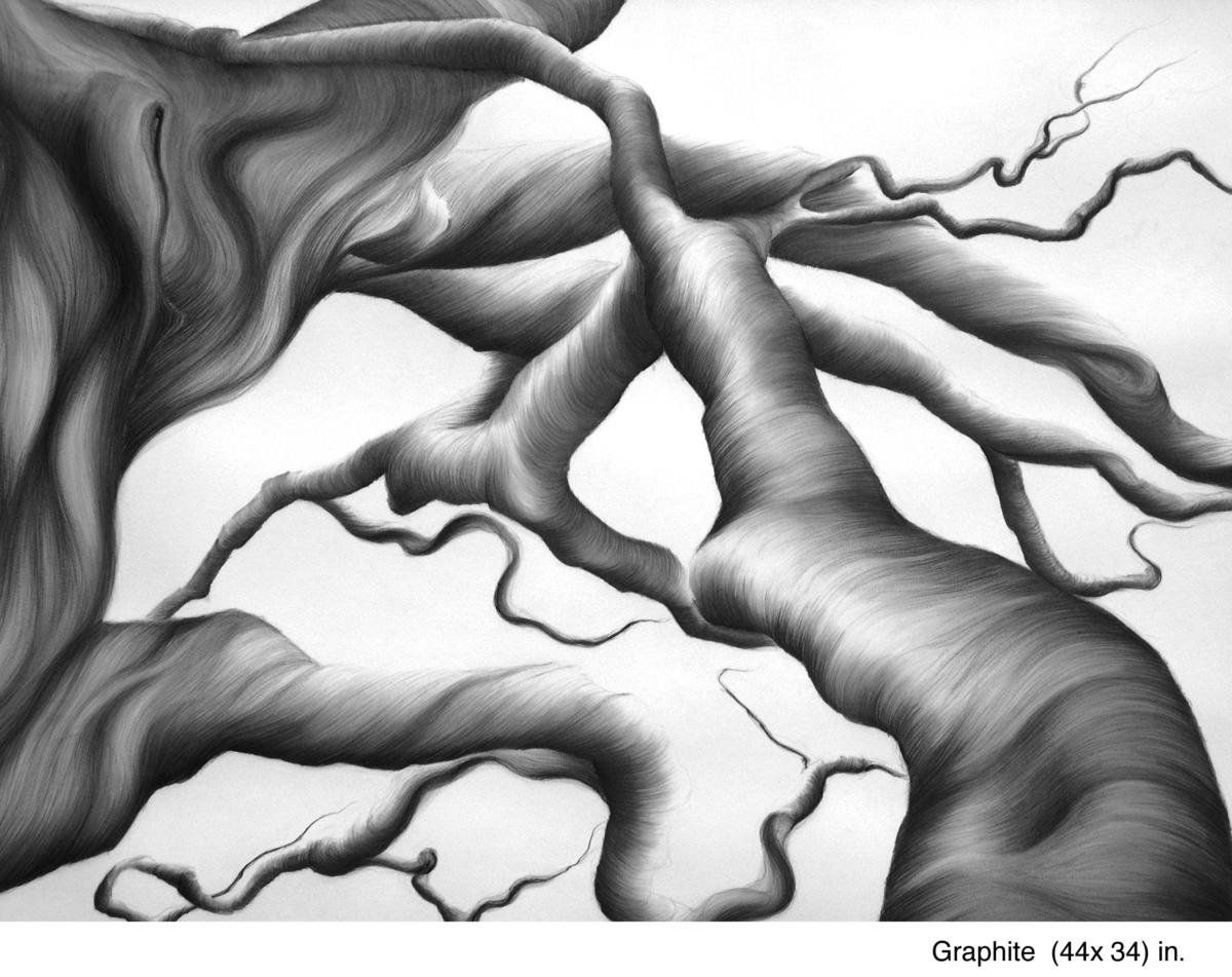 From the Forest artwork 7