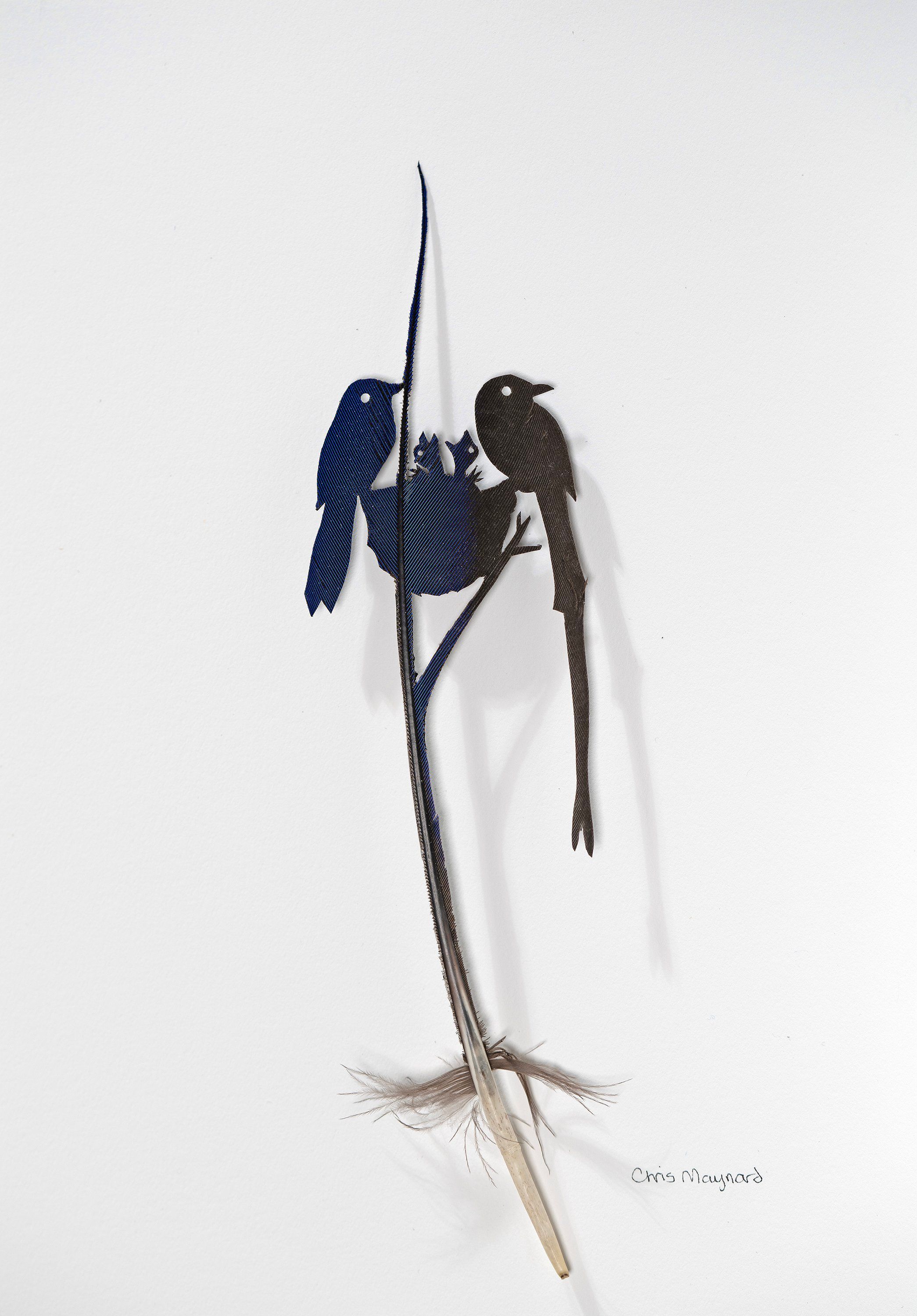 Birds: Avian Exploration artwork 10