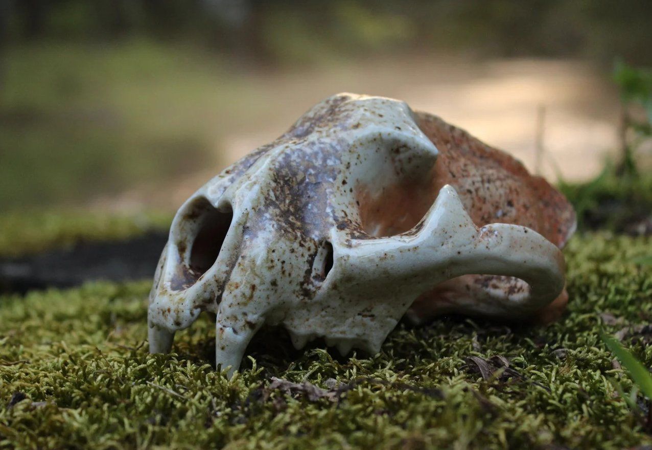 From the Forest artwork 8