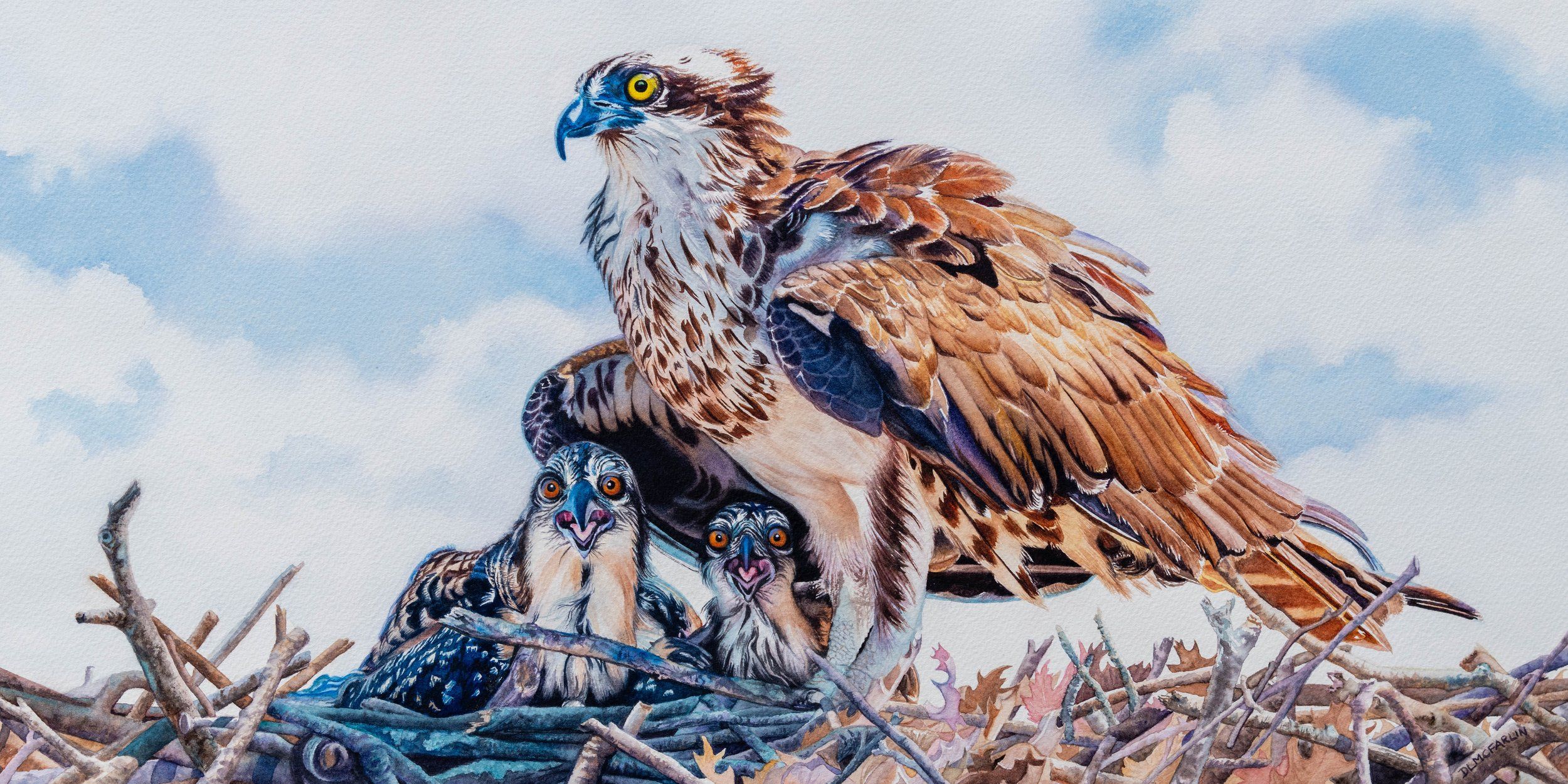 Birds: Avian Exploration artwork 12