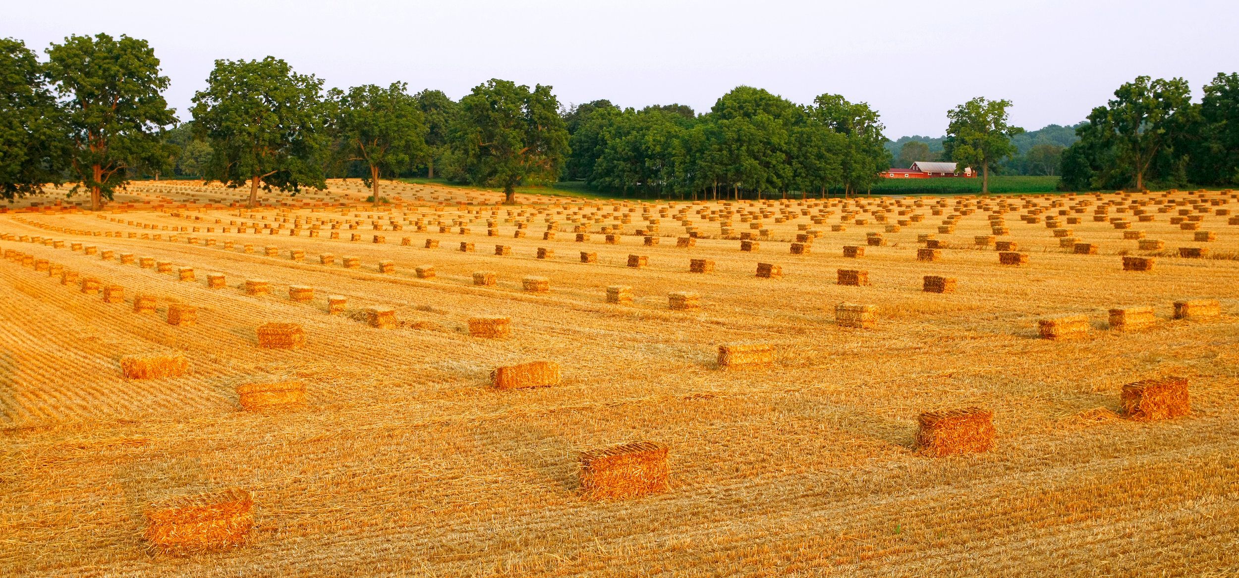 $500 & Under Holiday Exhibit artwork 15