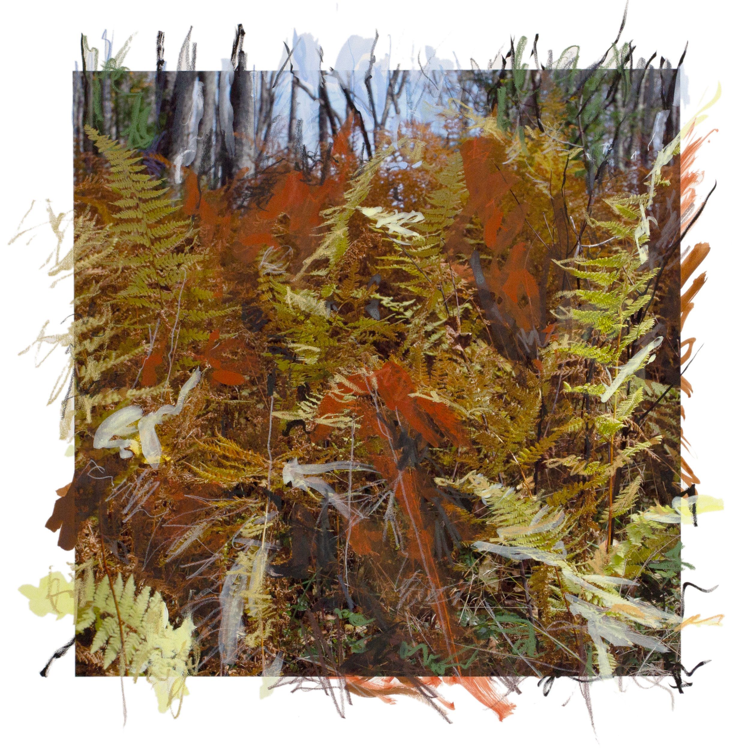 From the Forest artwork 5