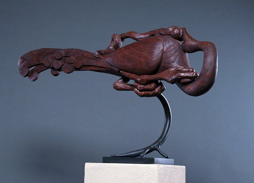 Birds: Avian Exploration artwork 18