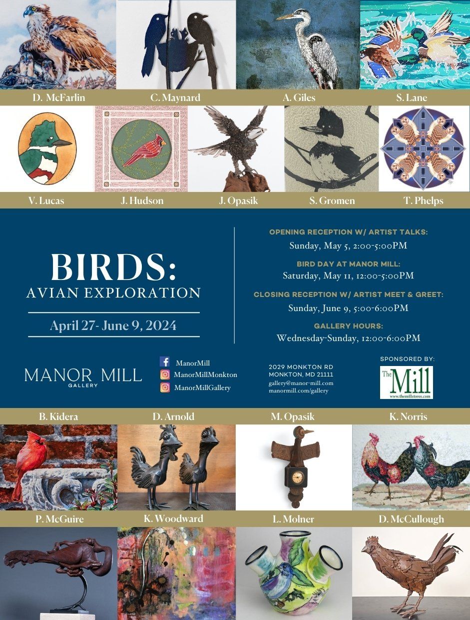 Birds: Avian Exploration artwork 1