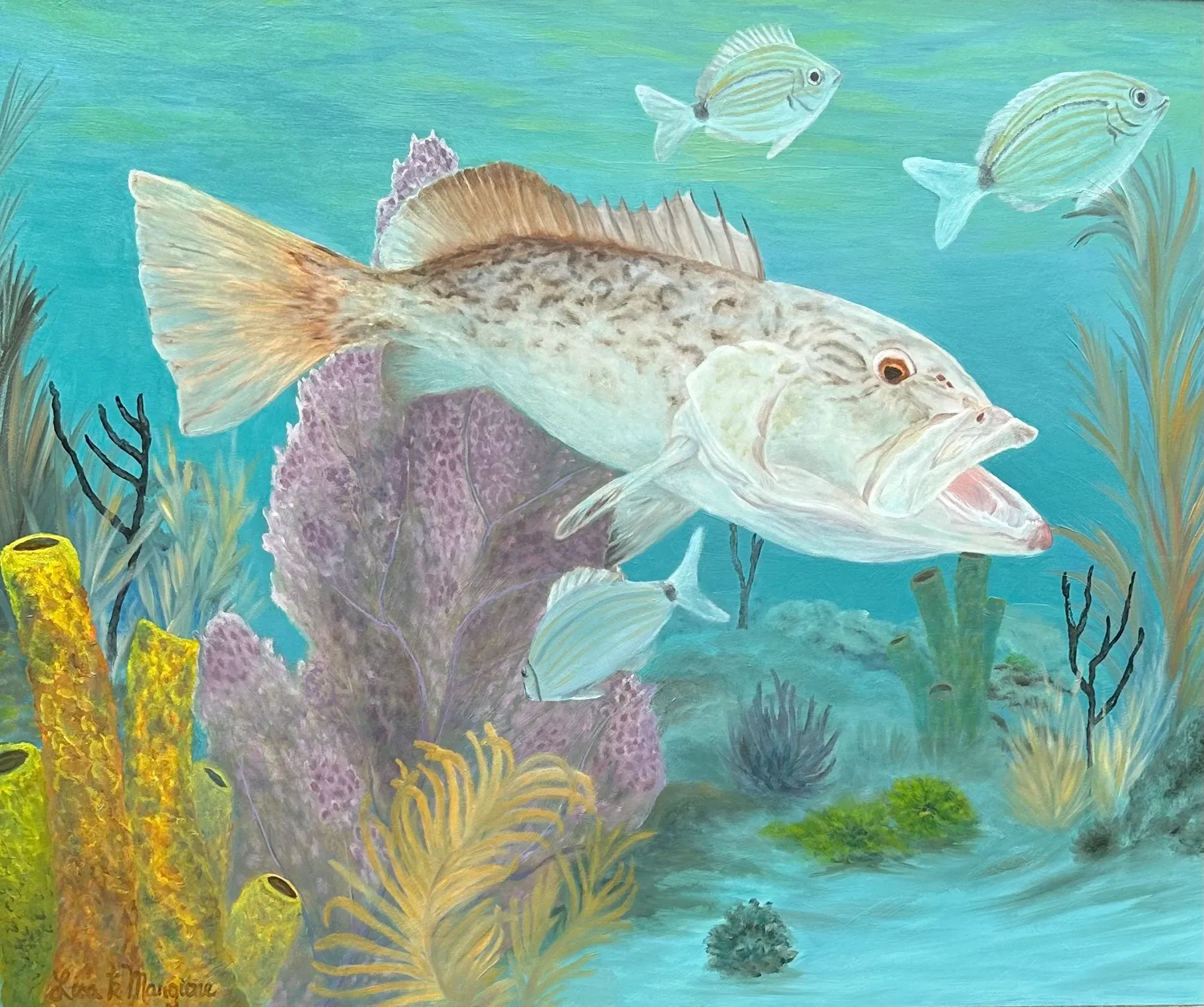 Florida Gulf Gag Grouper by Lisa Kozel Mangione