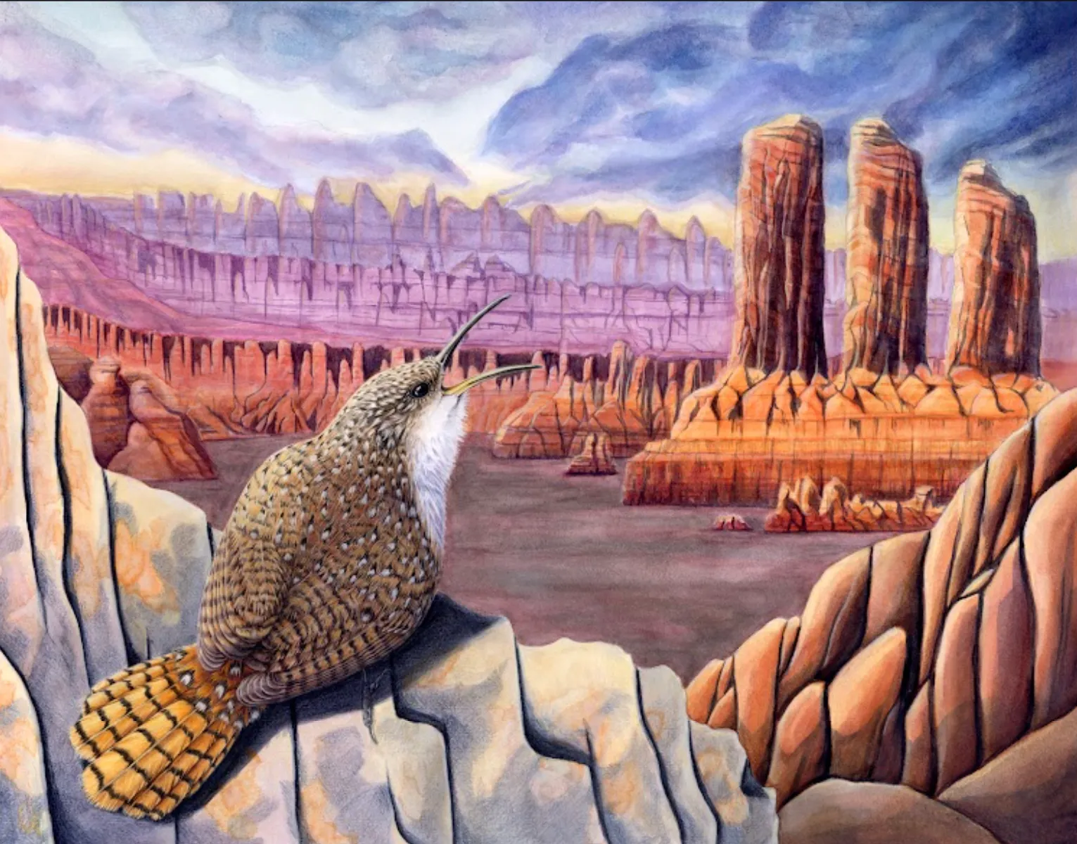 Song of the Canyon Wren