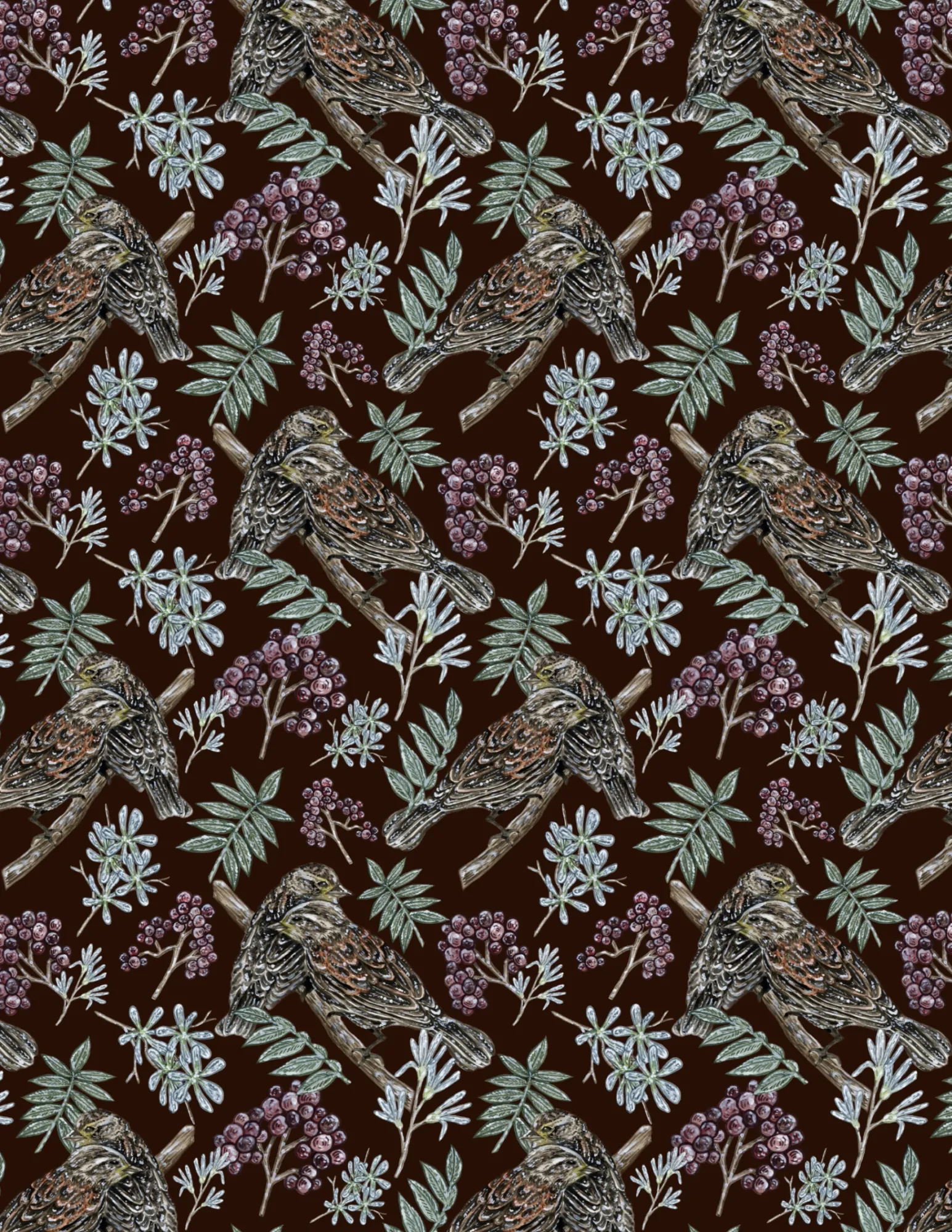 Female Red Winged Blackbird Pattern