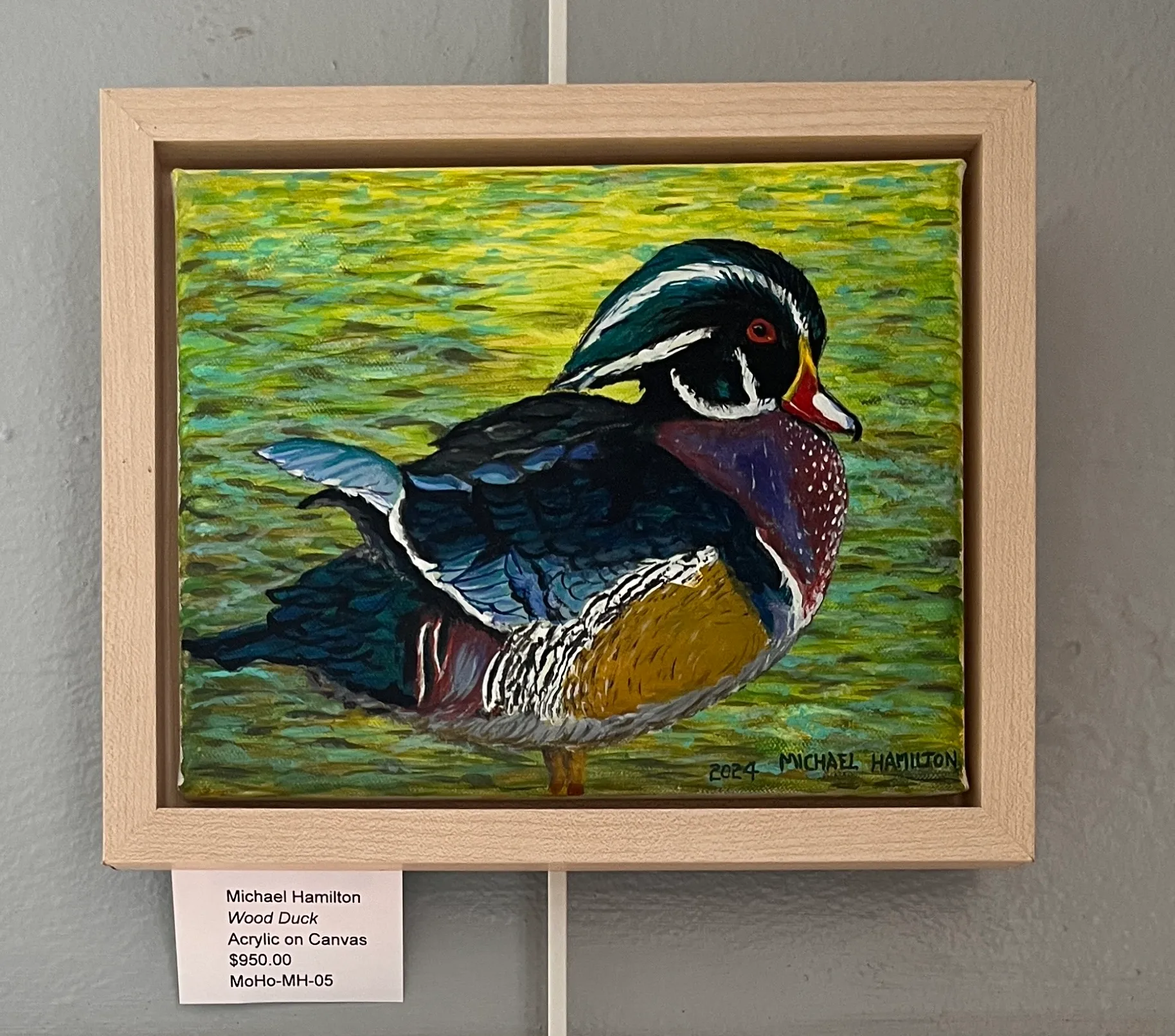 Wood Duck by Michael Hamilton