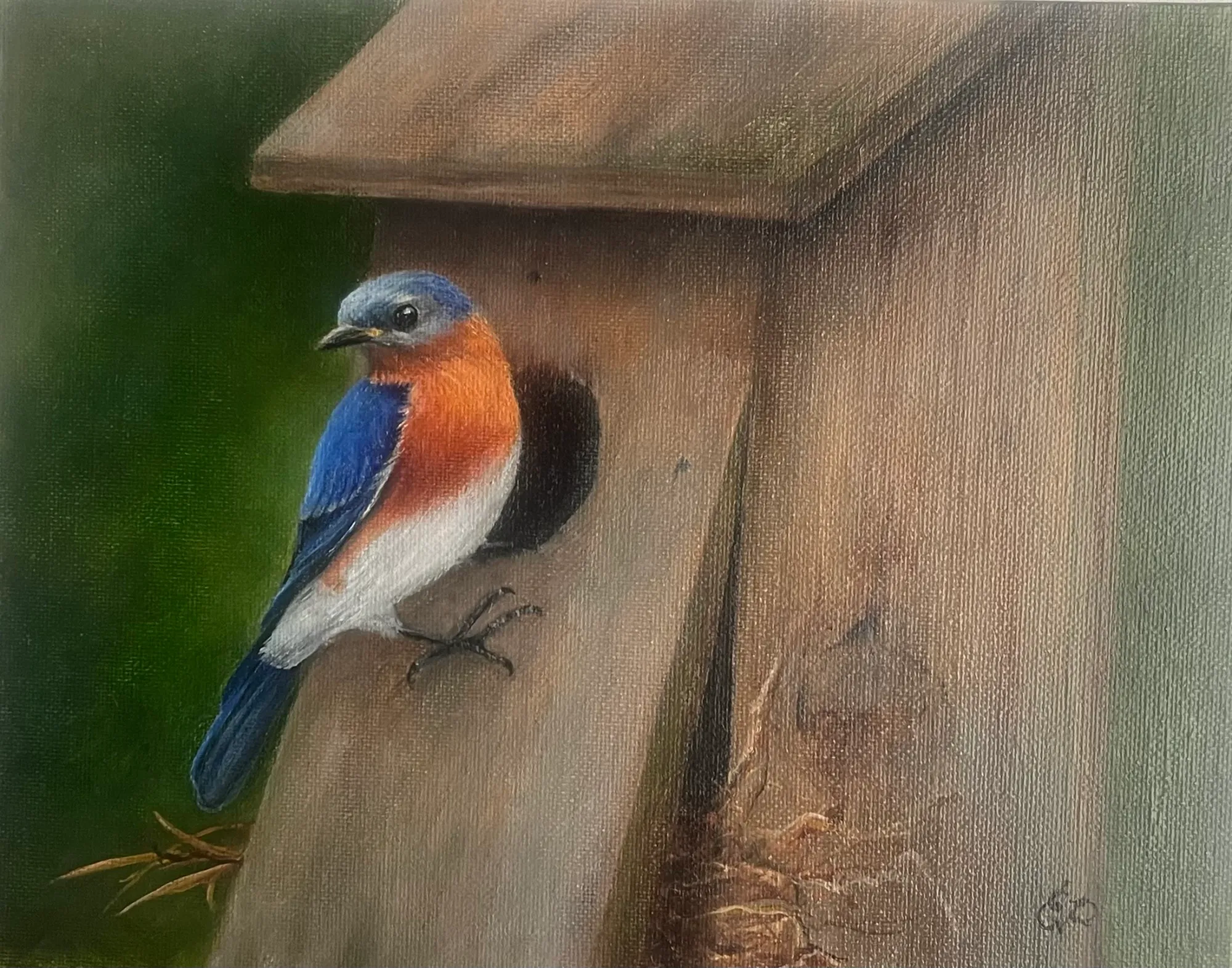 Bluebird's Haven