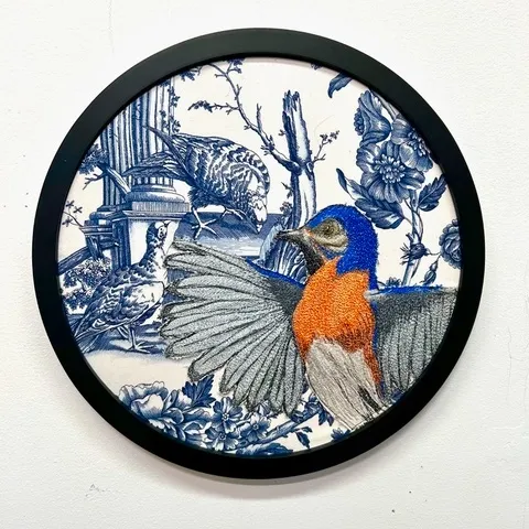 Bluebird Shows off His Wings