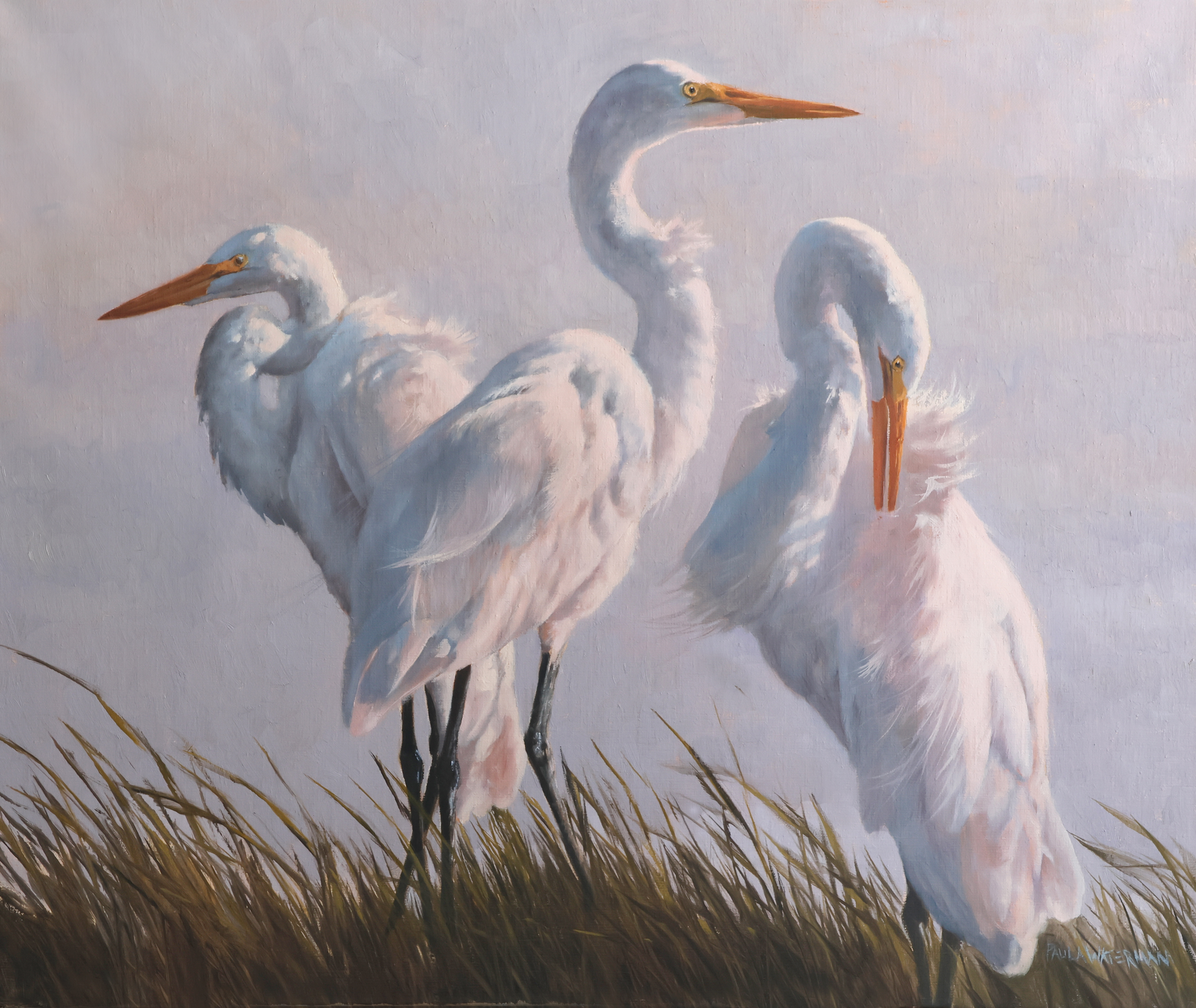 Breezy by Paula Waterman