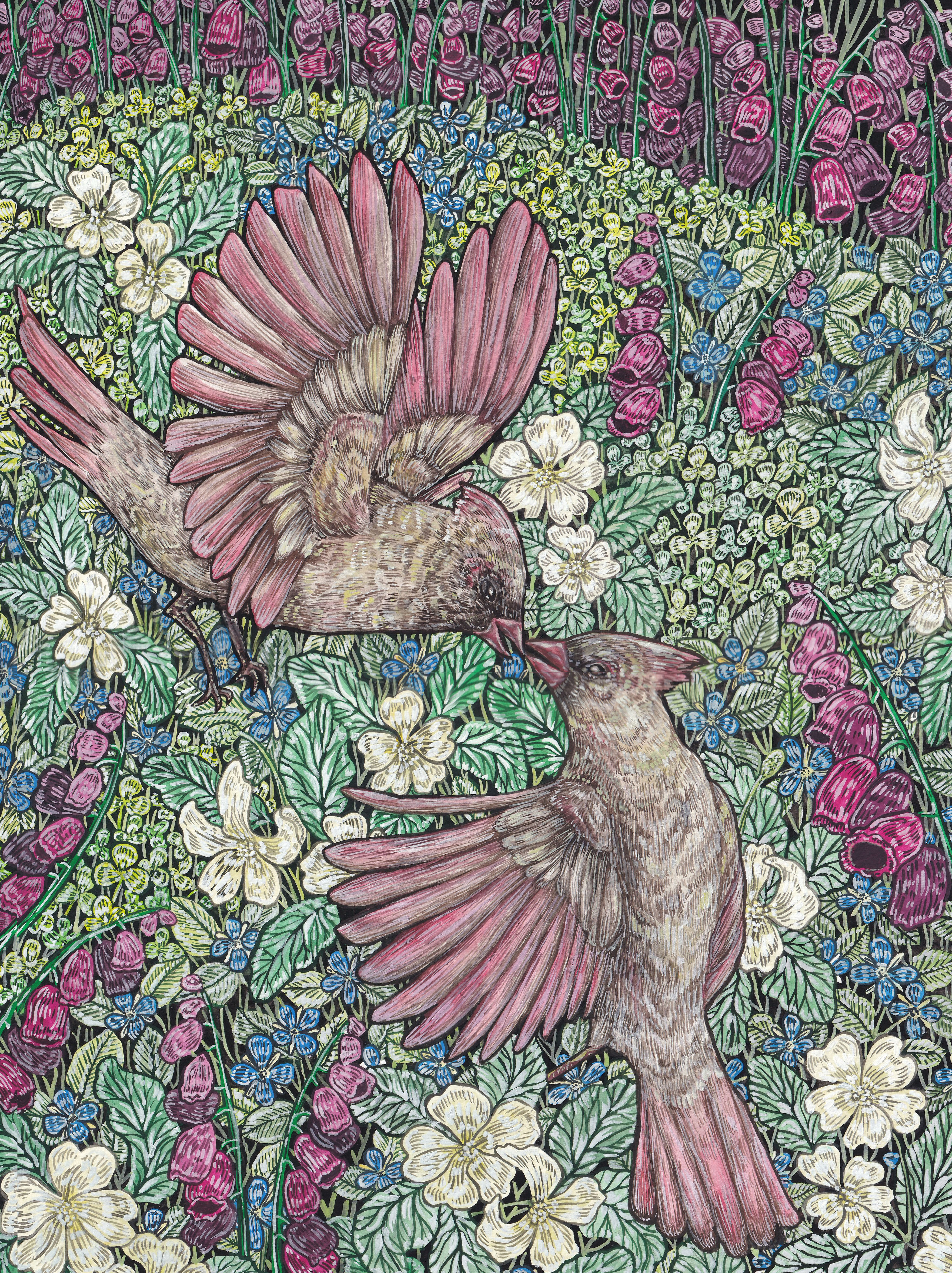 Cardinals by Hailey Hagan