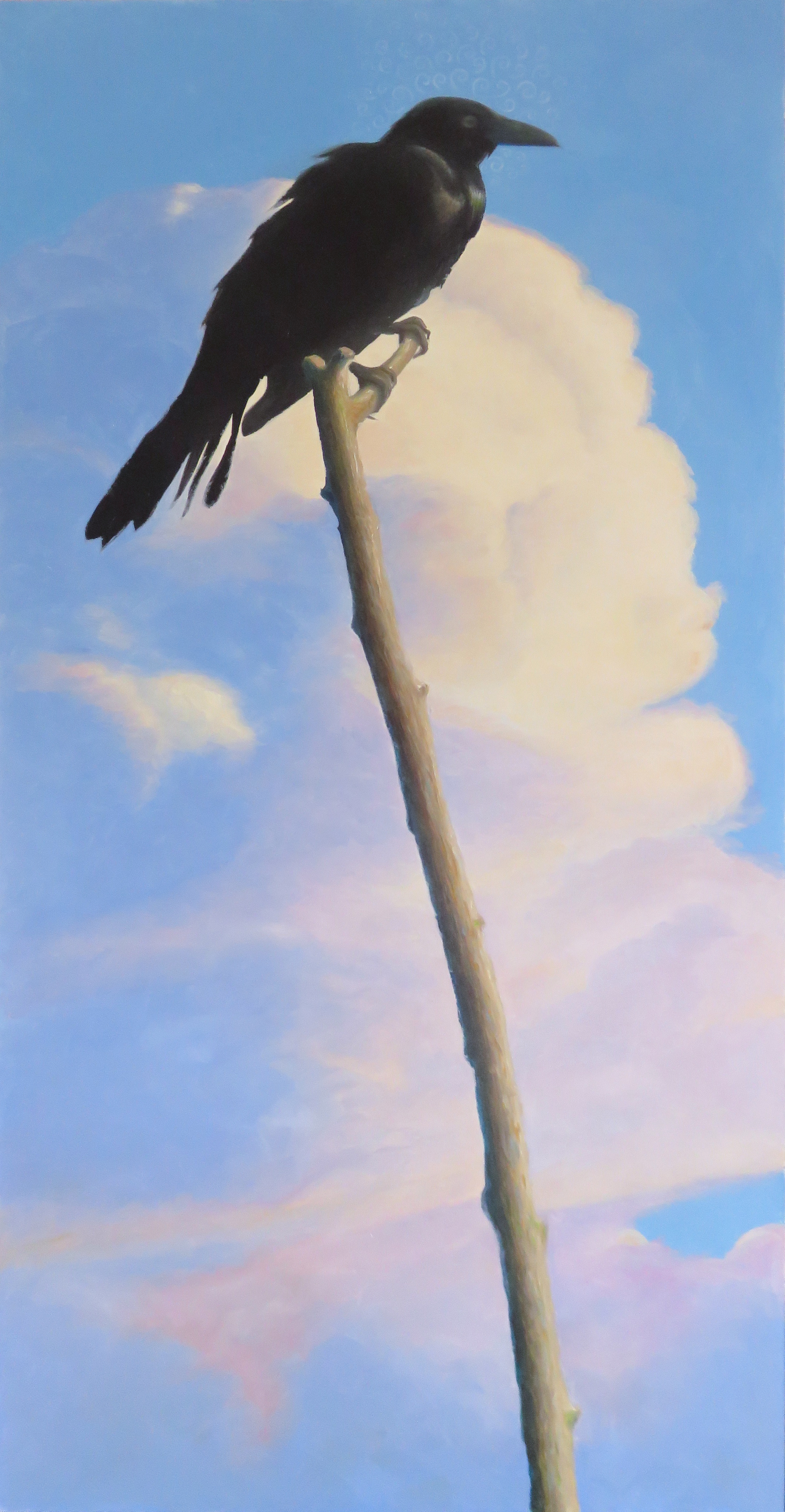 Crow by Caroline Mayer
