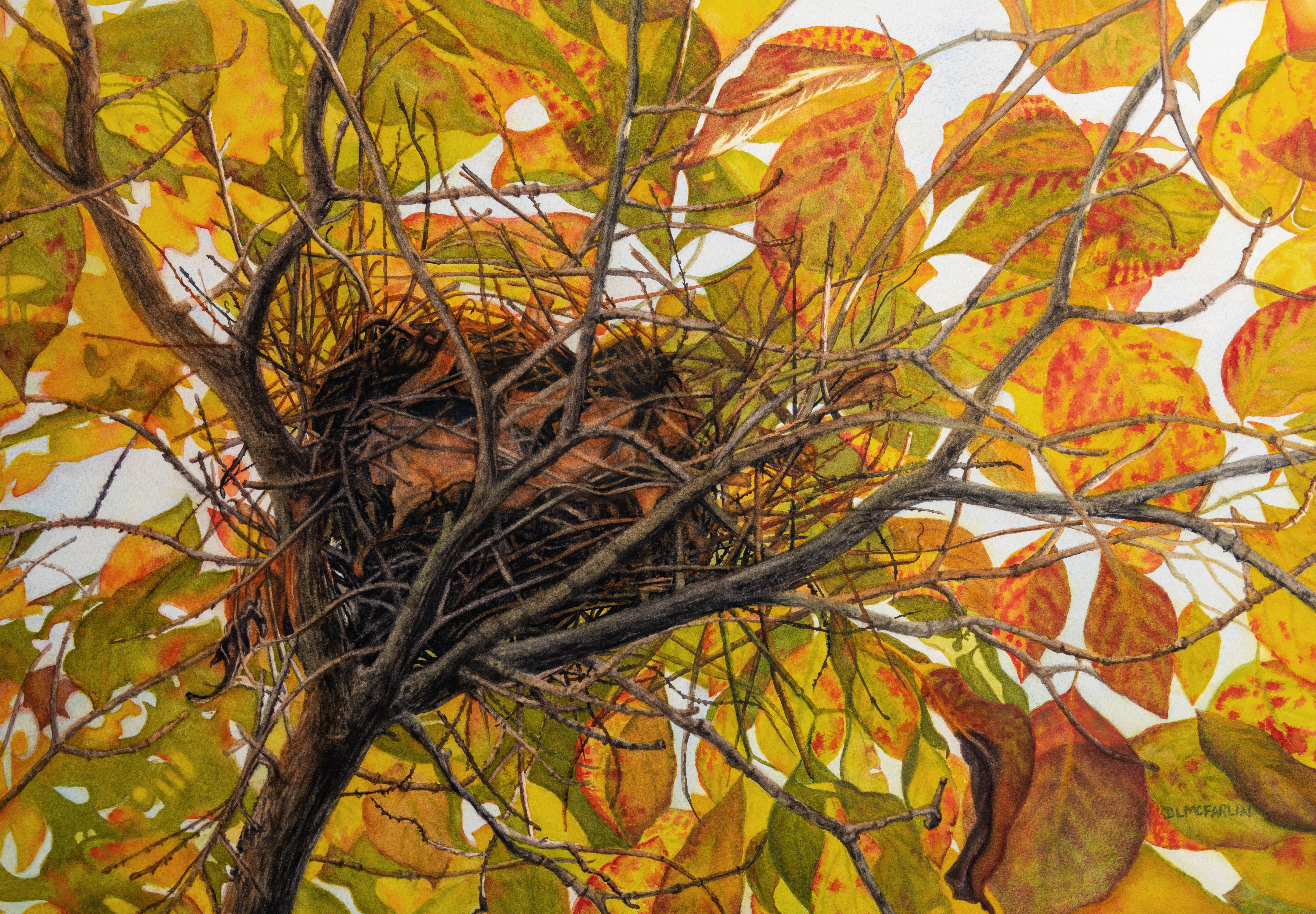 Empty Nest by Deborah L. McFarlin
