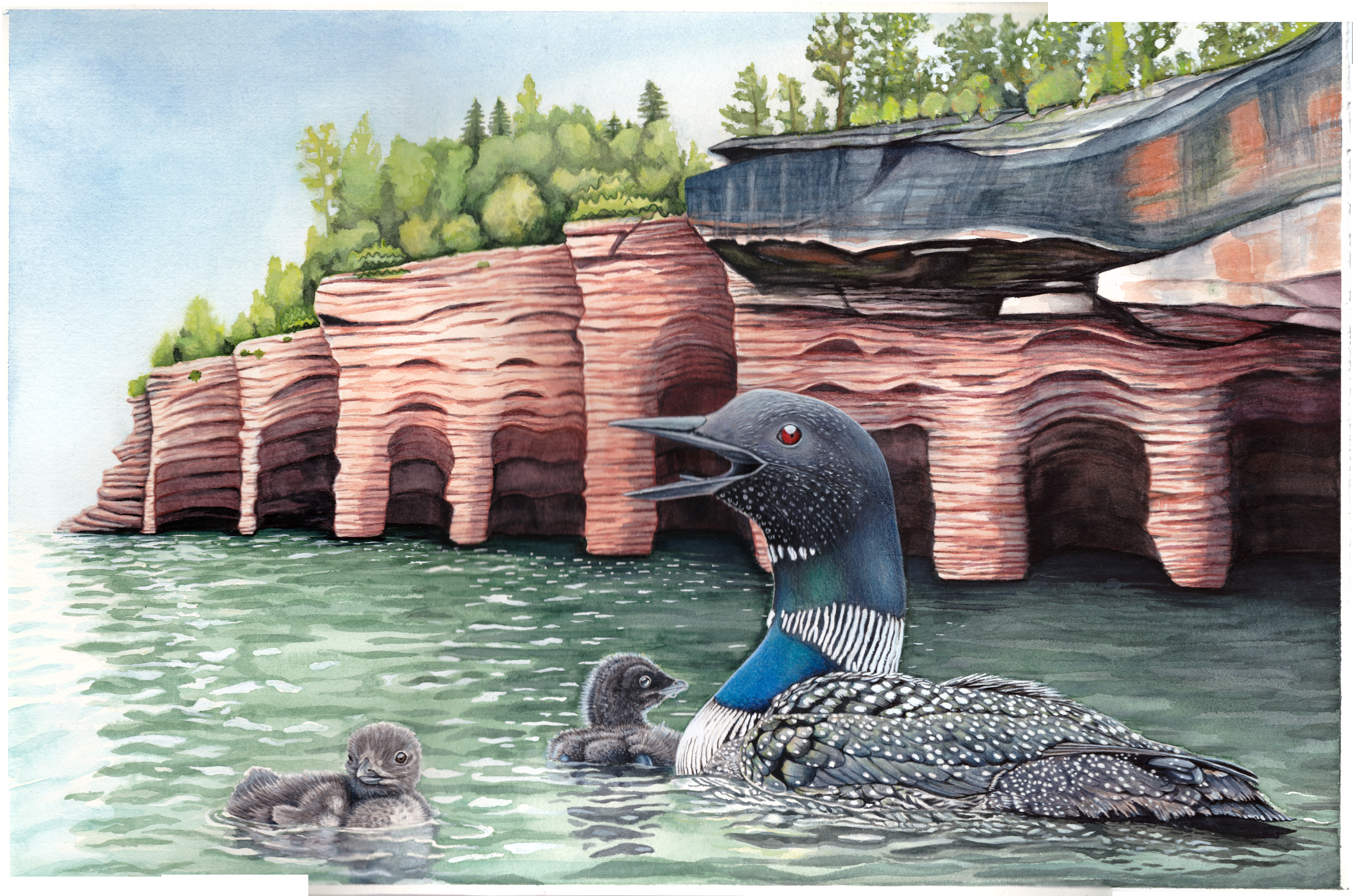 Loonsong by Erin Vance