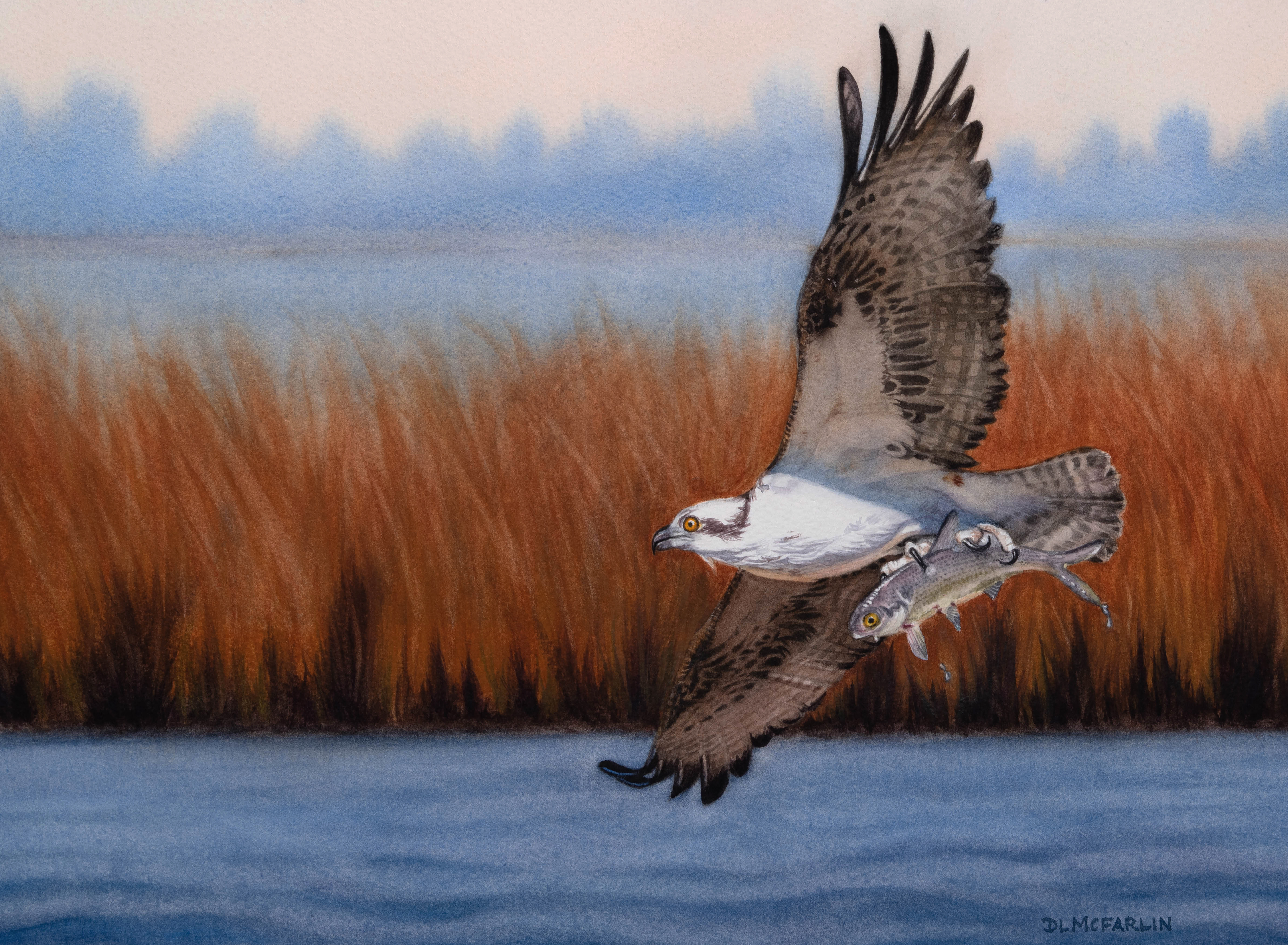 Nice Catch by Deborah L. McFarlin