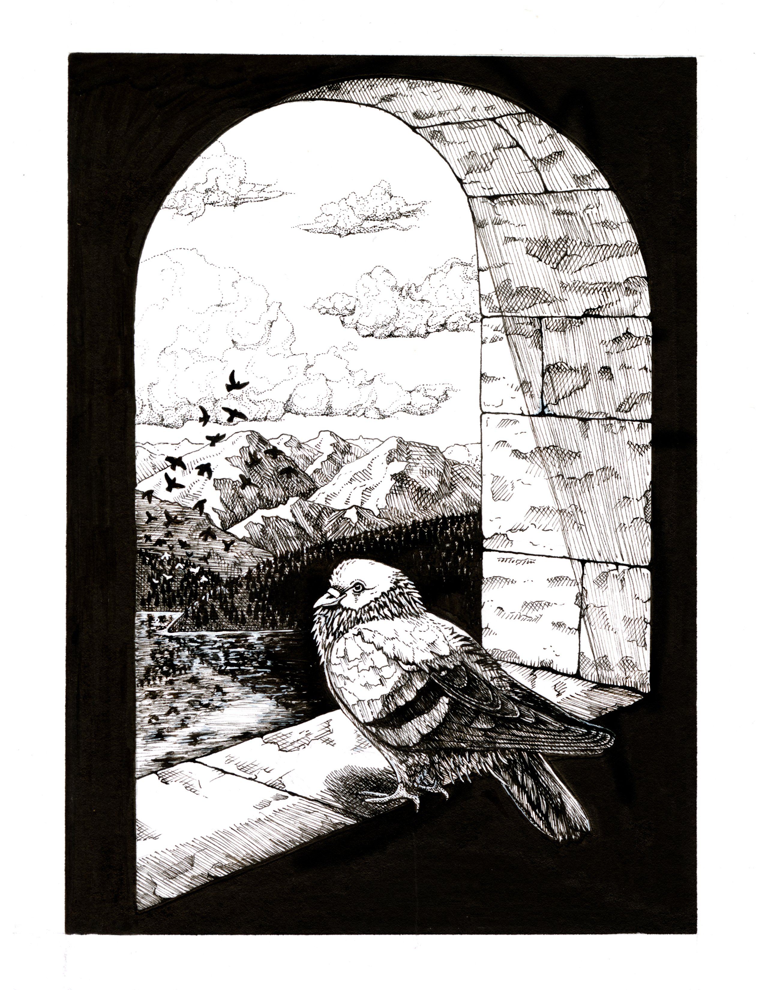 Pigeon in His Tower by Erin Vance