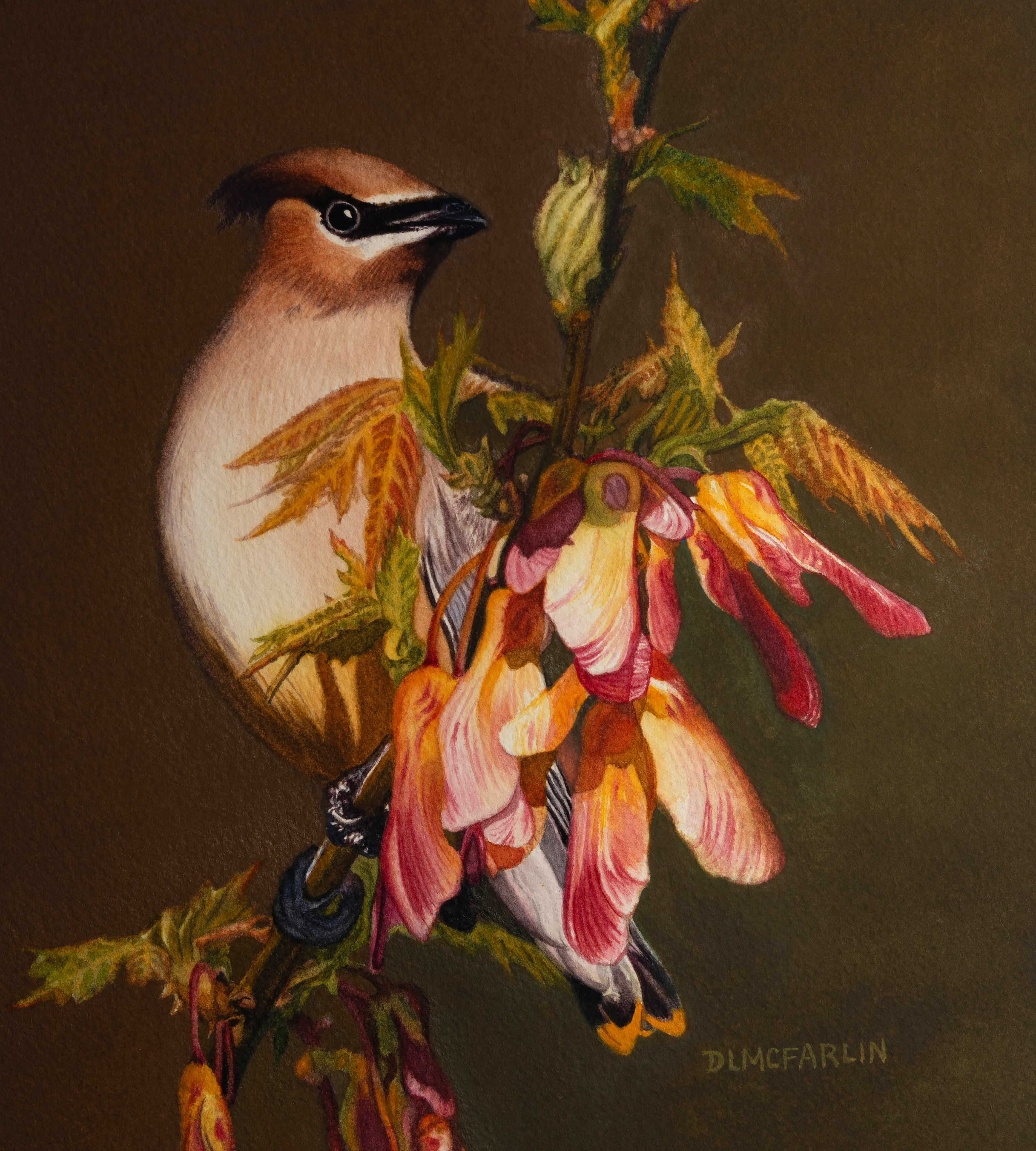 Spring Harbinger by Deborah L. McFarlin