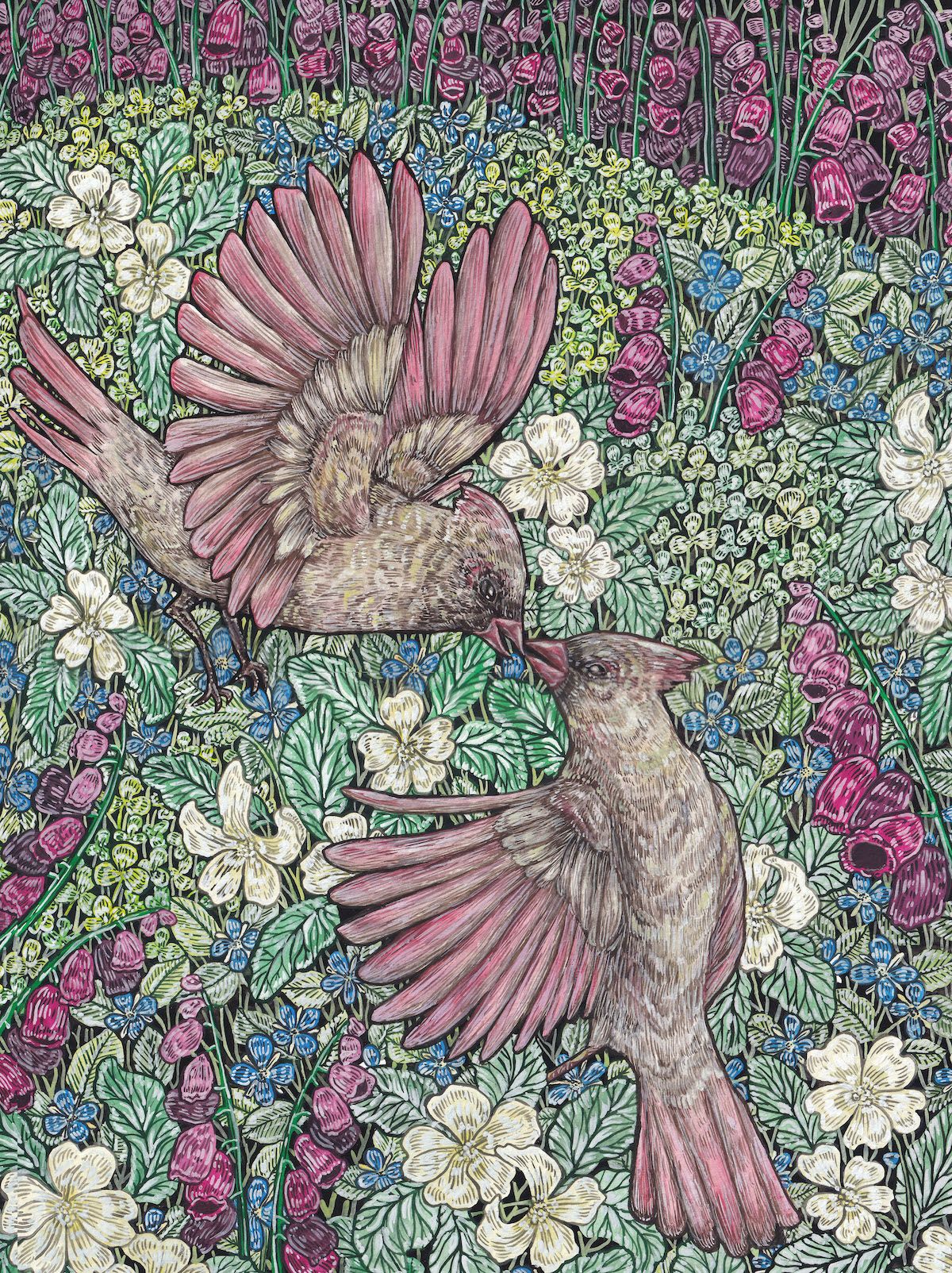 Cardinals by Hailey Hagan