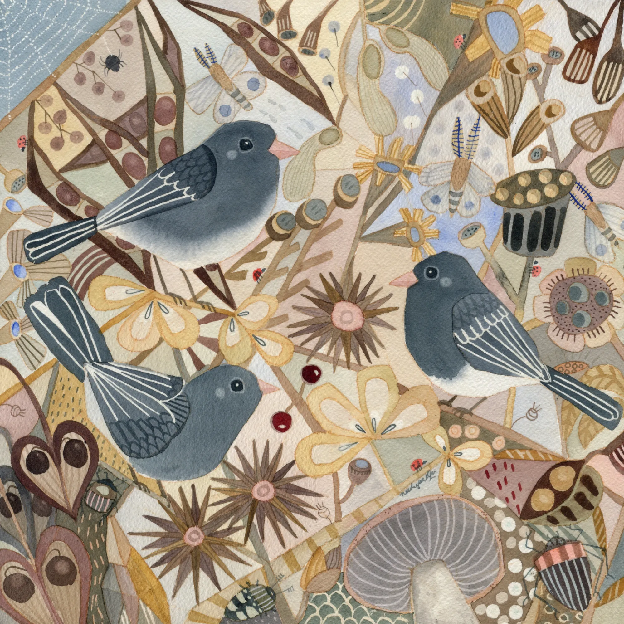 The Juncos are Back by Nicole Smeltzer