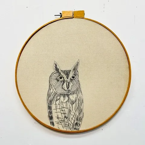 Long eared owl