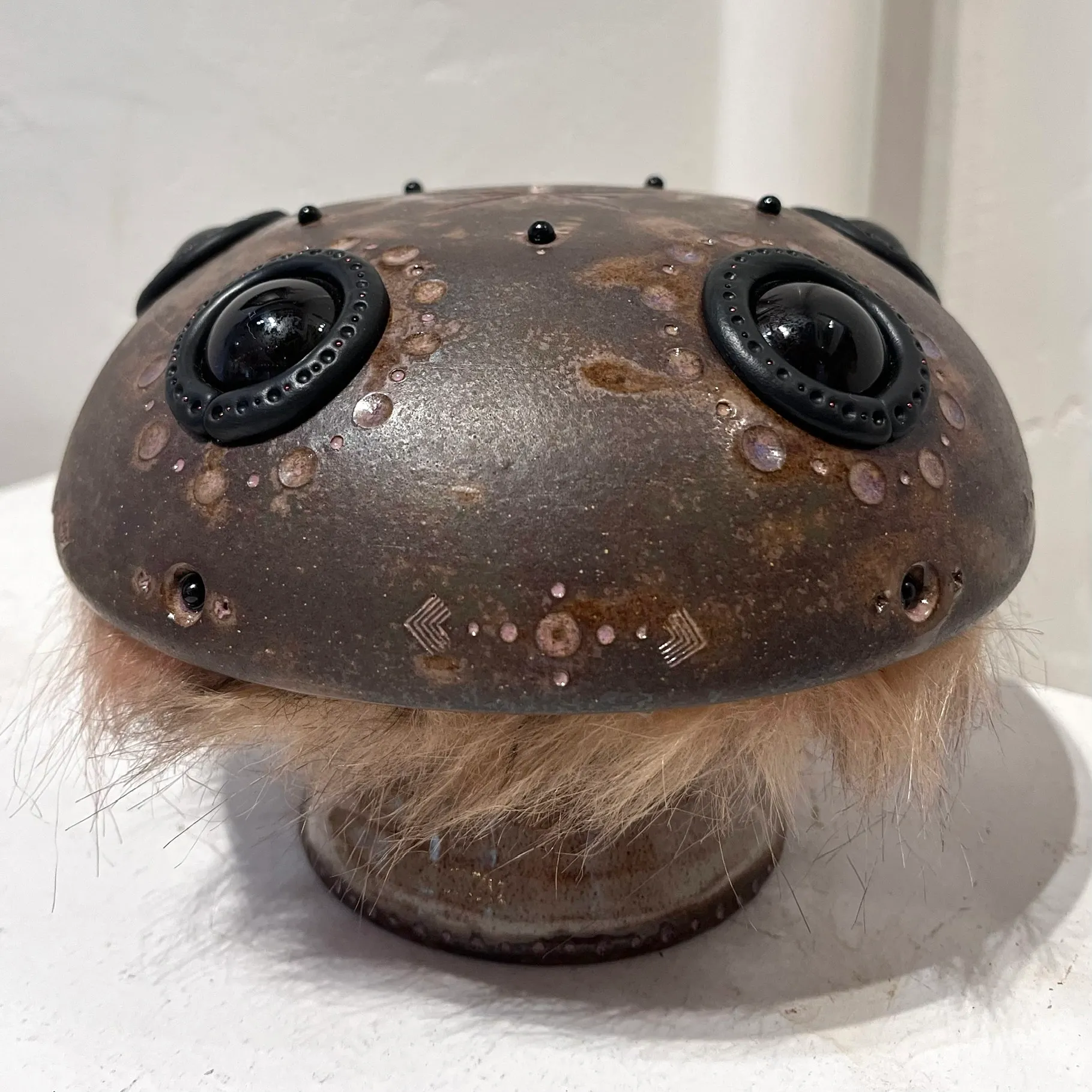 5-Eyed Fungi by Brad Blair