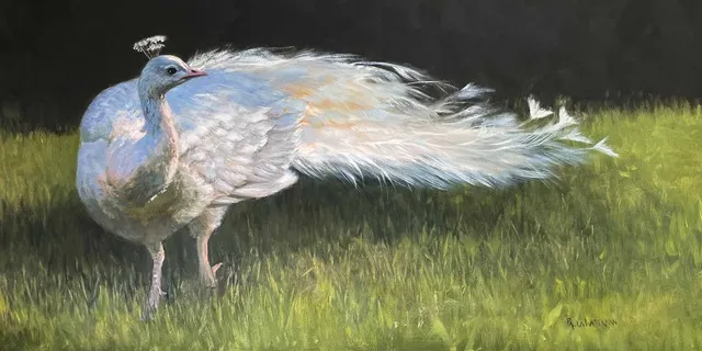 Showoff by Paula Waterman