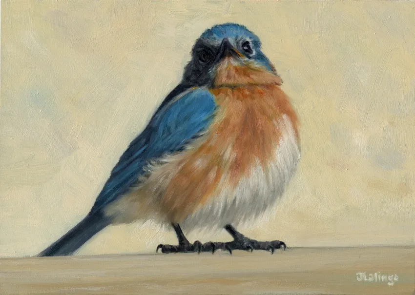 Bluebird by Judy Lalingo