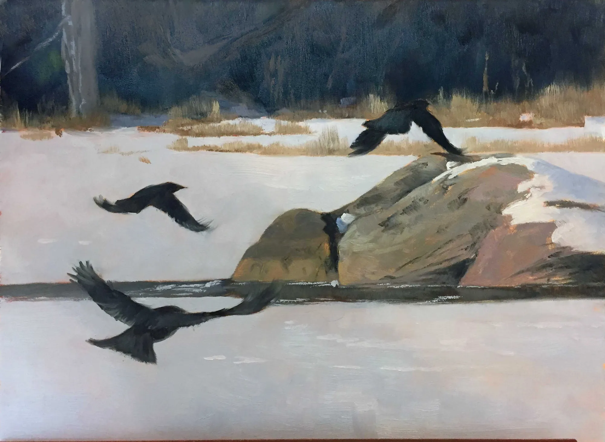 Almost Frozen (crows) by Paula Waterman