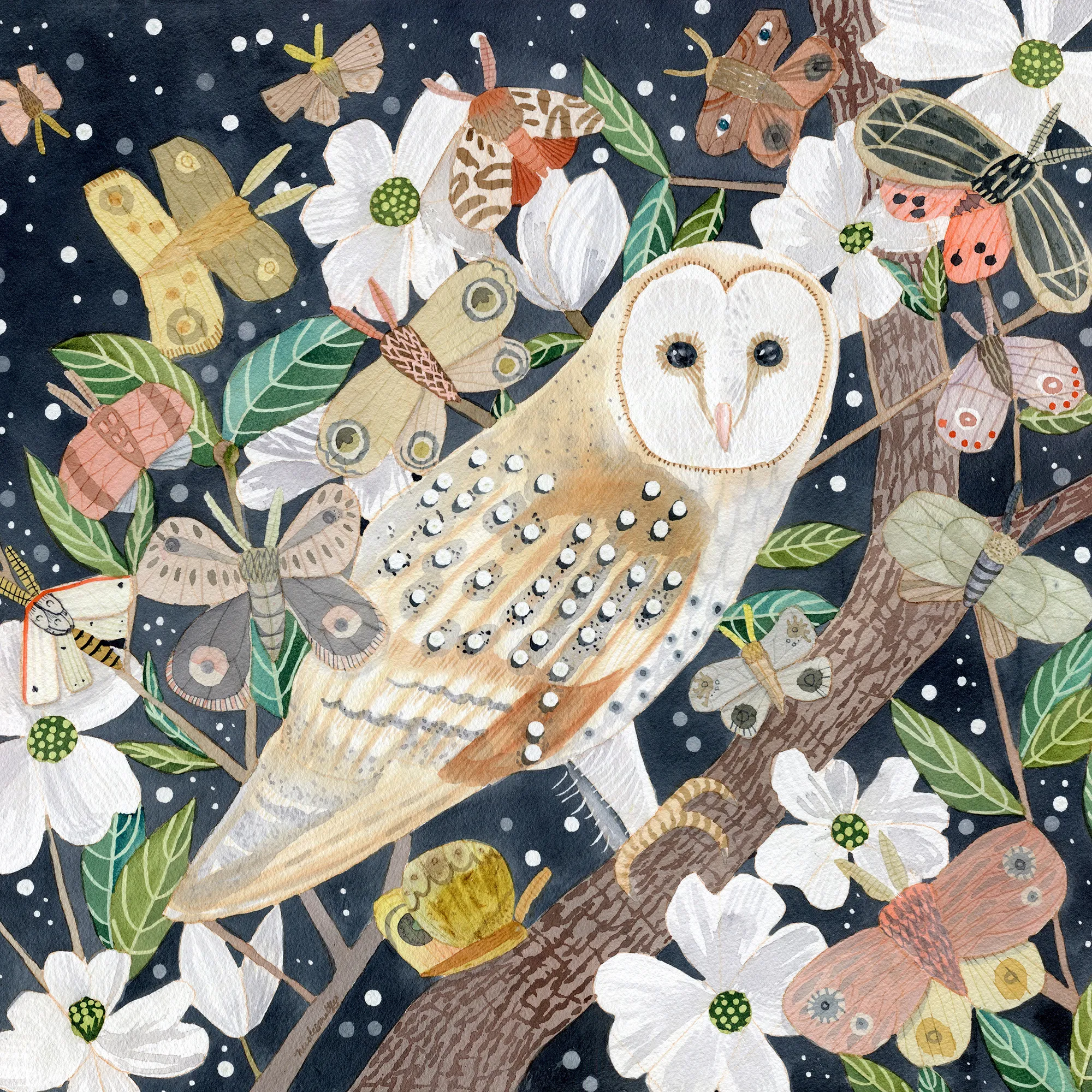 Barn Owl and Moths by Nicole Smeltzer