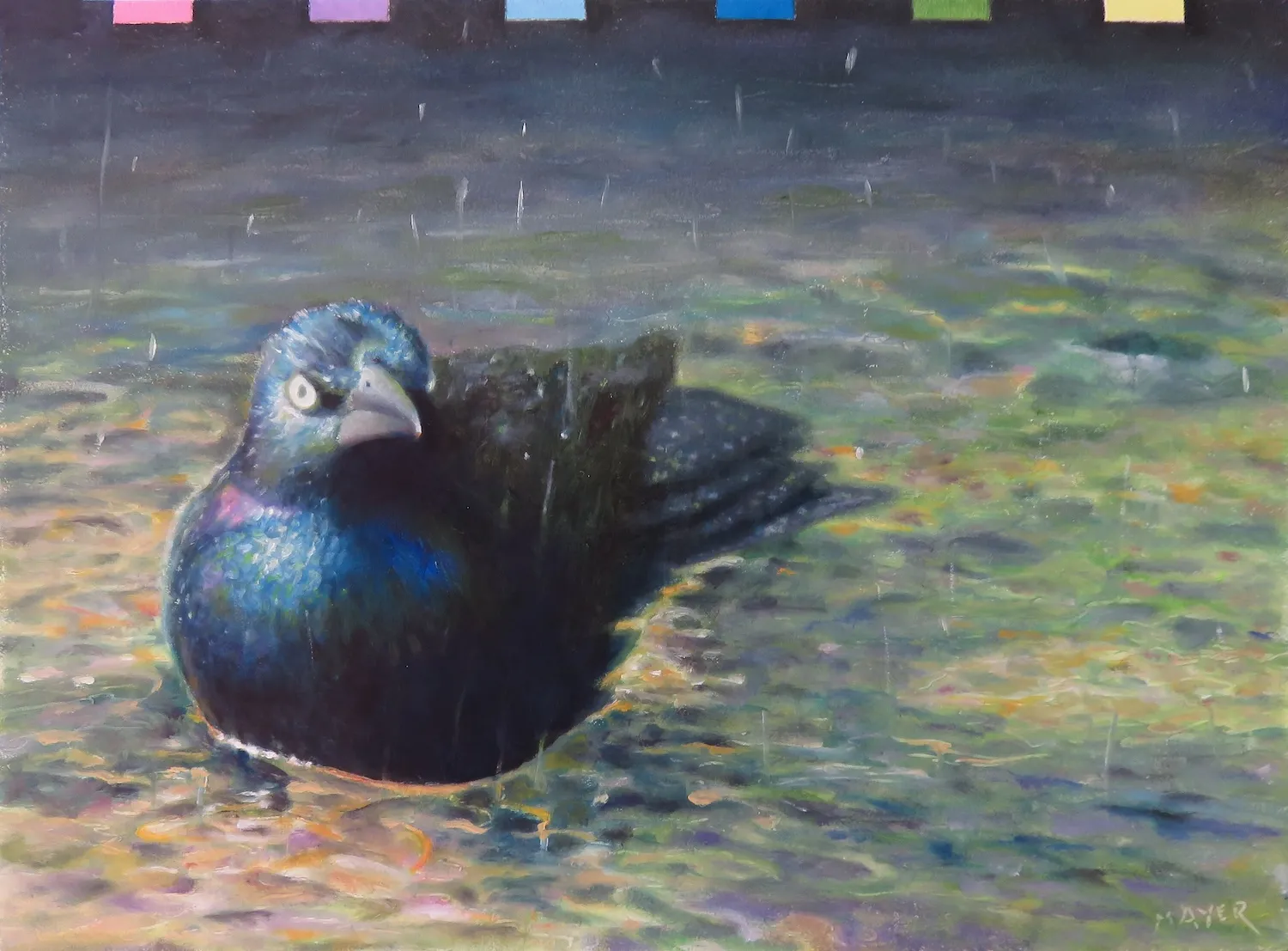Spectrum Grackle by Caroline Mayer