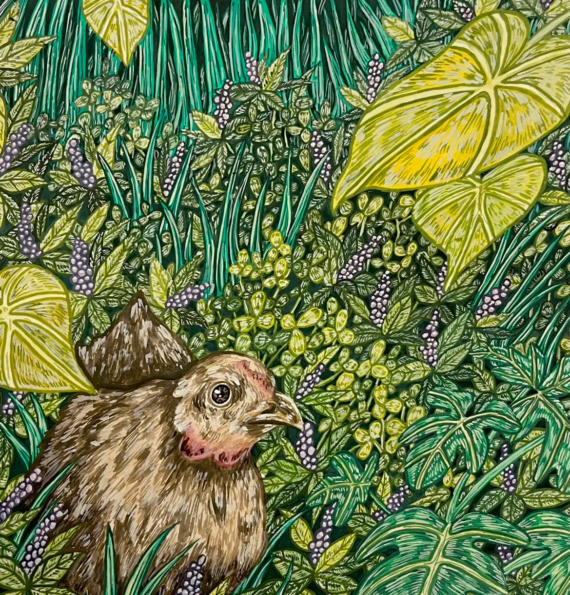 Chicken in the Grass by Hailey Hagan