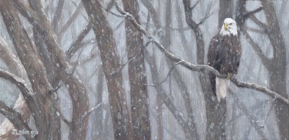 Winter Woods by Judy Lalingo