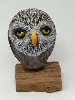 Norman — Contemplating by Maria Annegarn