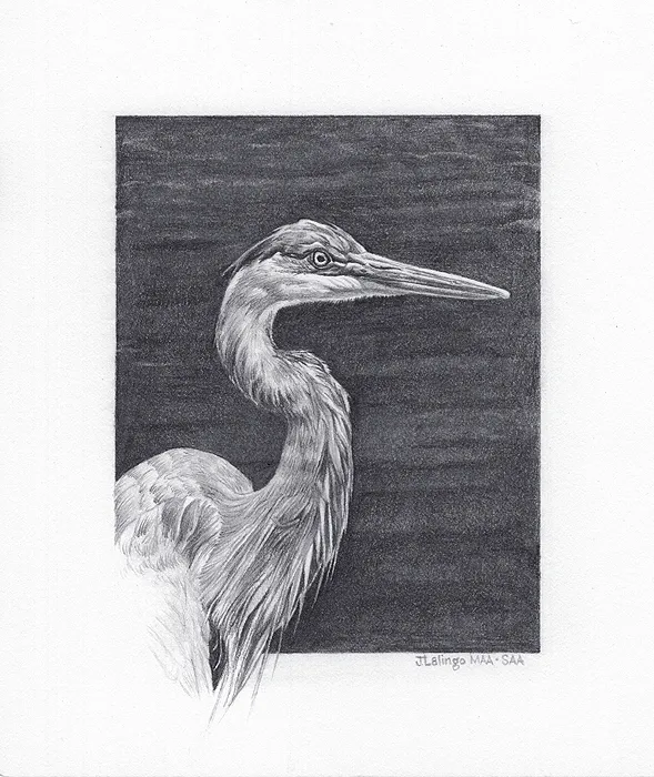 Heron by Judy Lalingo