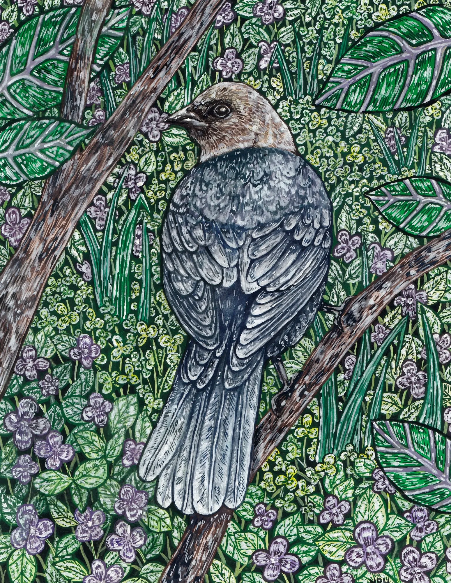 Cowbird by Hailey Hagan